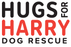 Hugs for Harry | A Community Small Dog Rescue