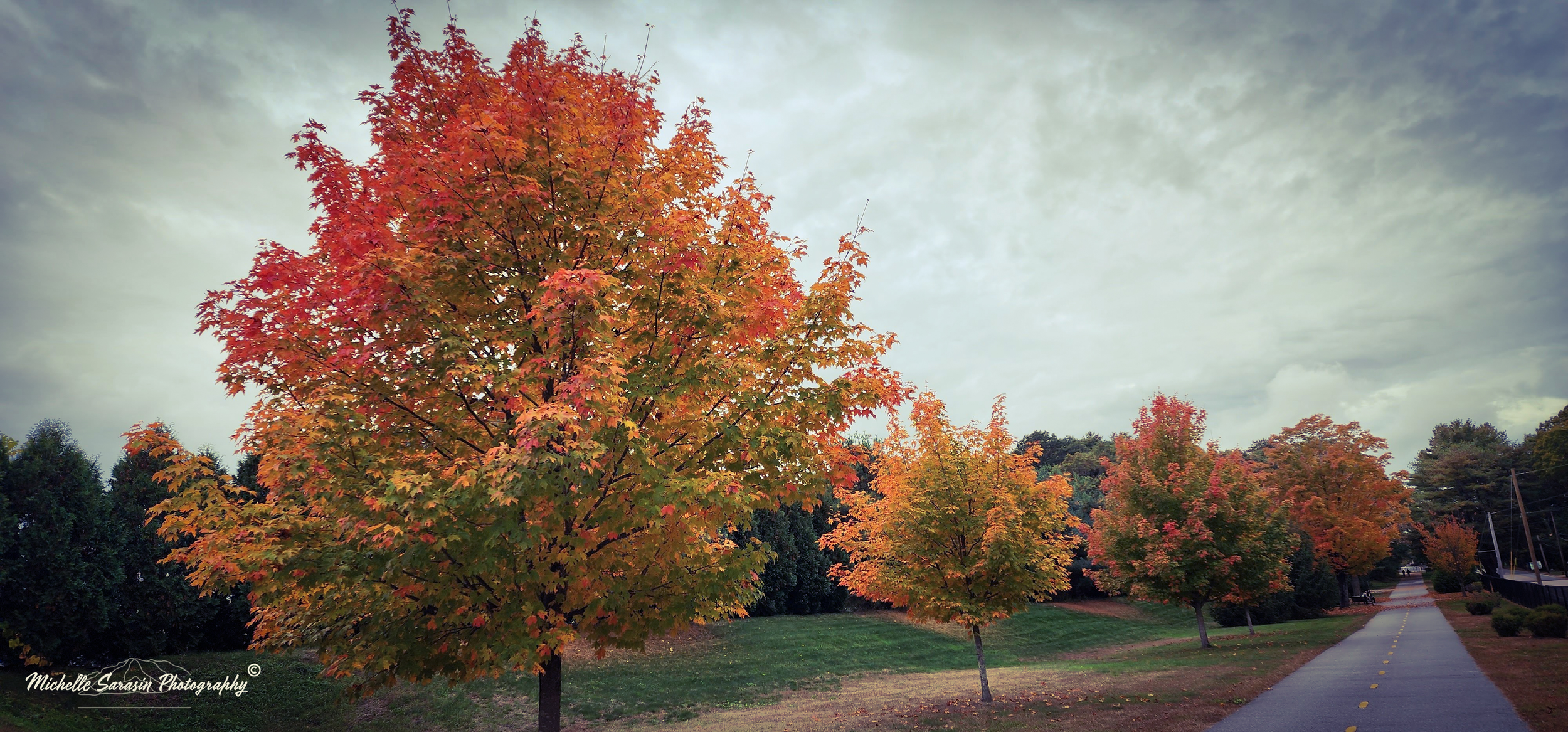 Autumn Road.png