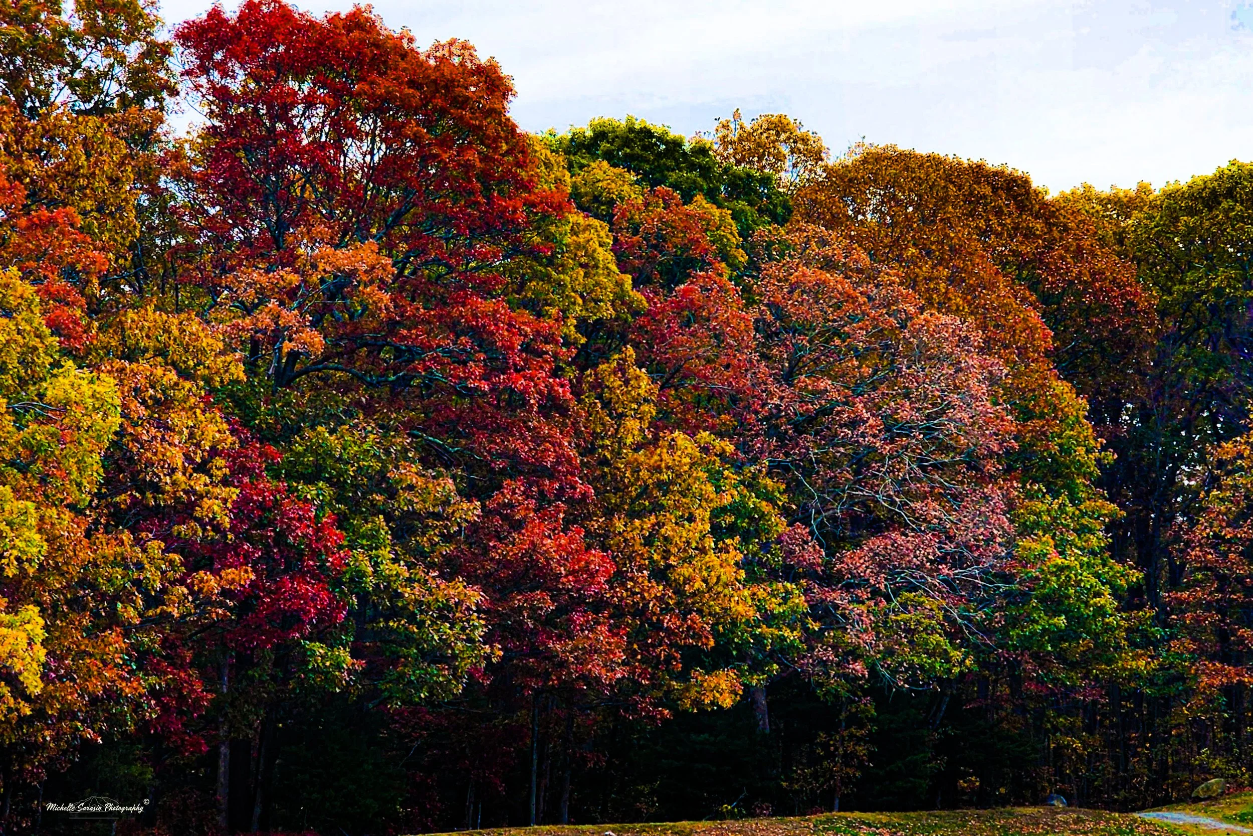Park in Peak