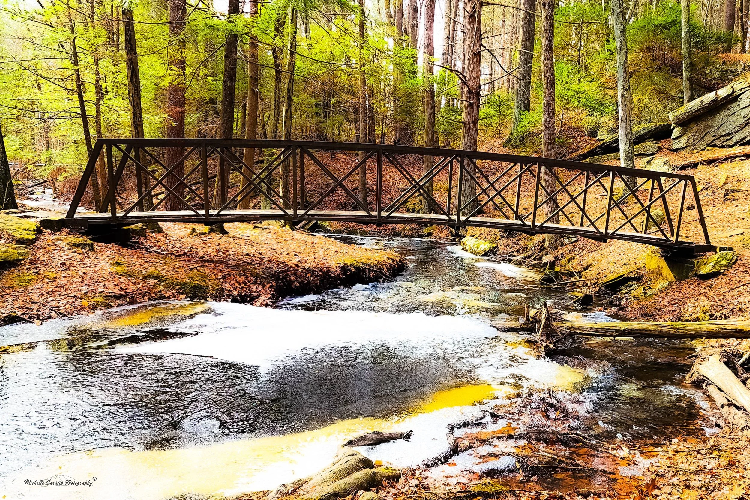 Bridge Through Autumn Wonders | Digital Fine Art Print