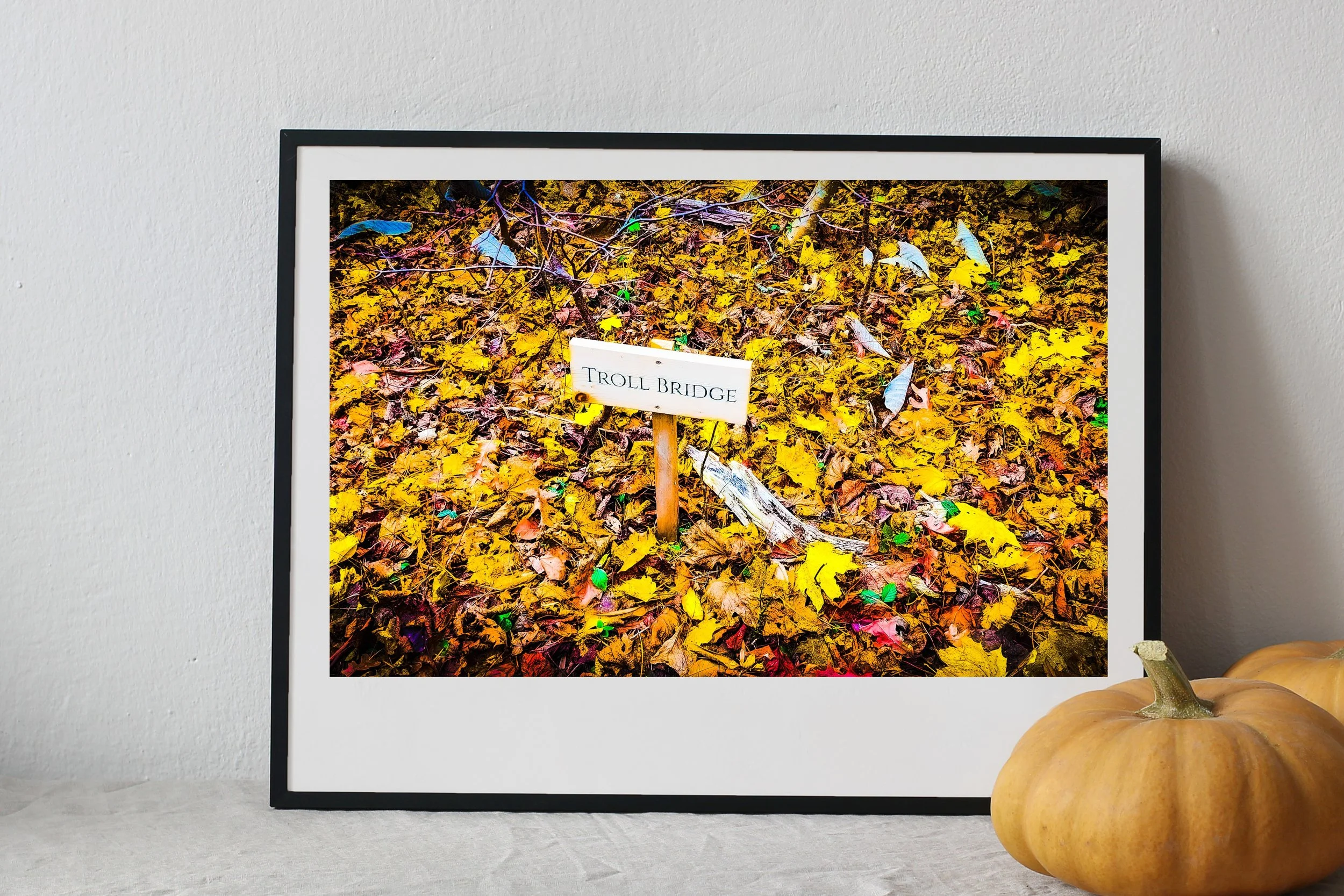 MSP Autumn Collection 2x3 Ratio Digital Prints-15.jpeg