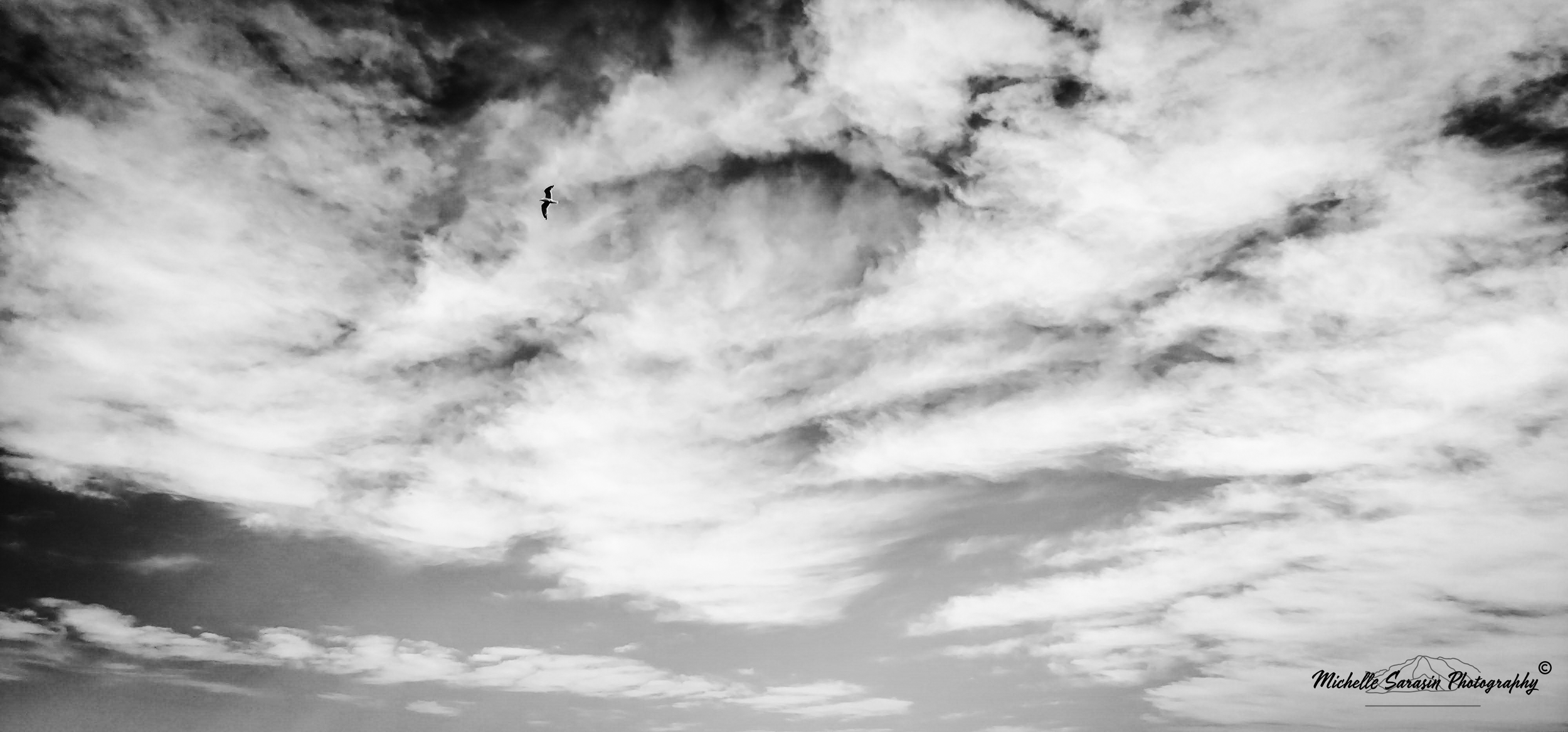Sky High Horizon
