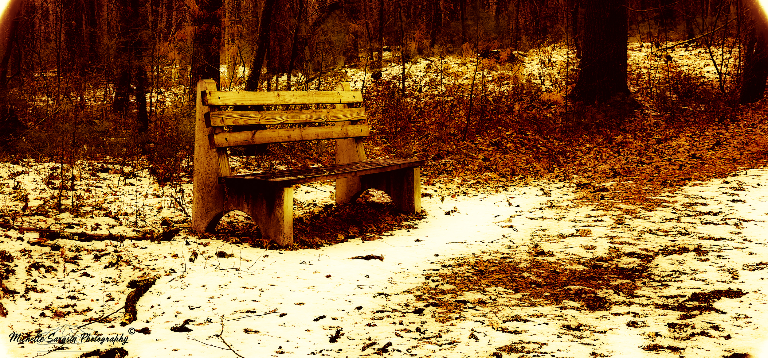 Winter Haunts the Woods