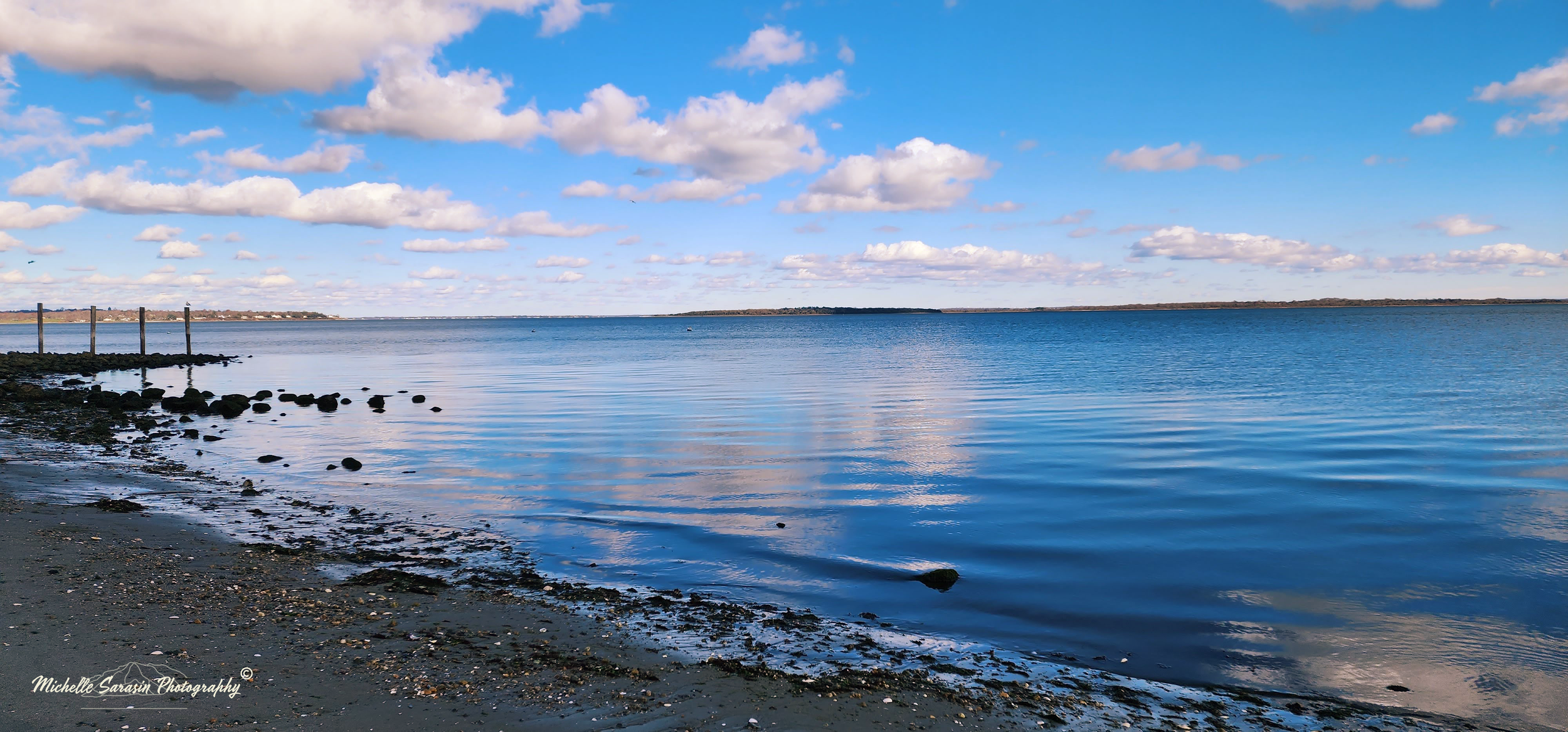 Spring Beginnings on Atlantic Shores.png