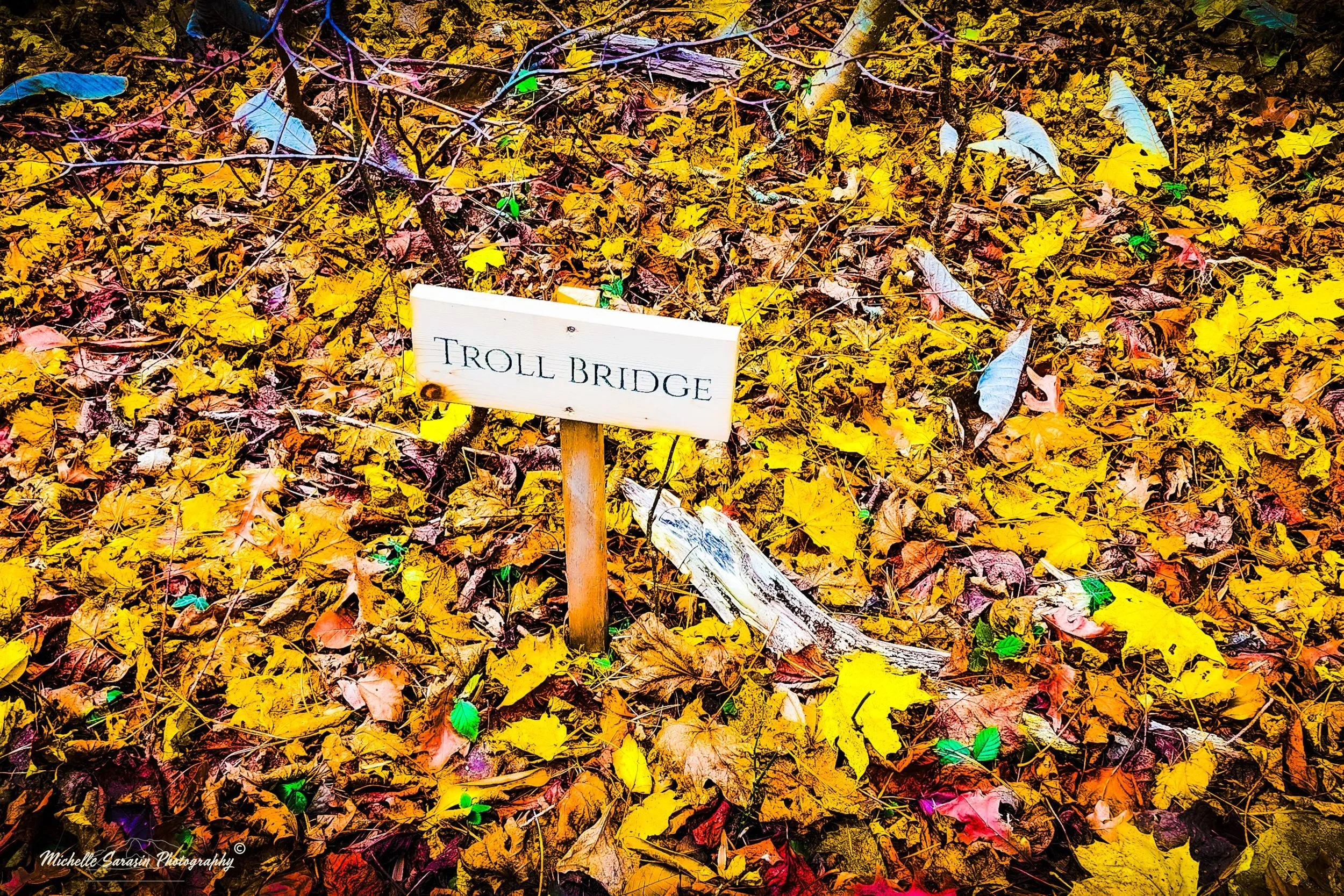 michellesarasin_trollbridgethisway.jpeg