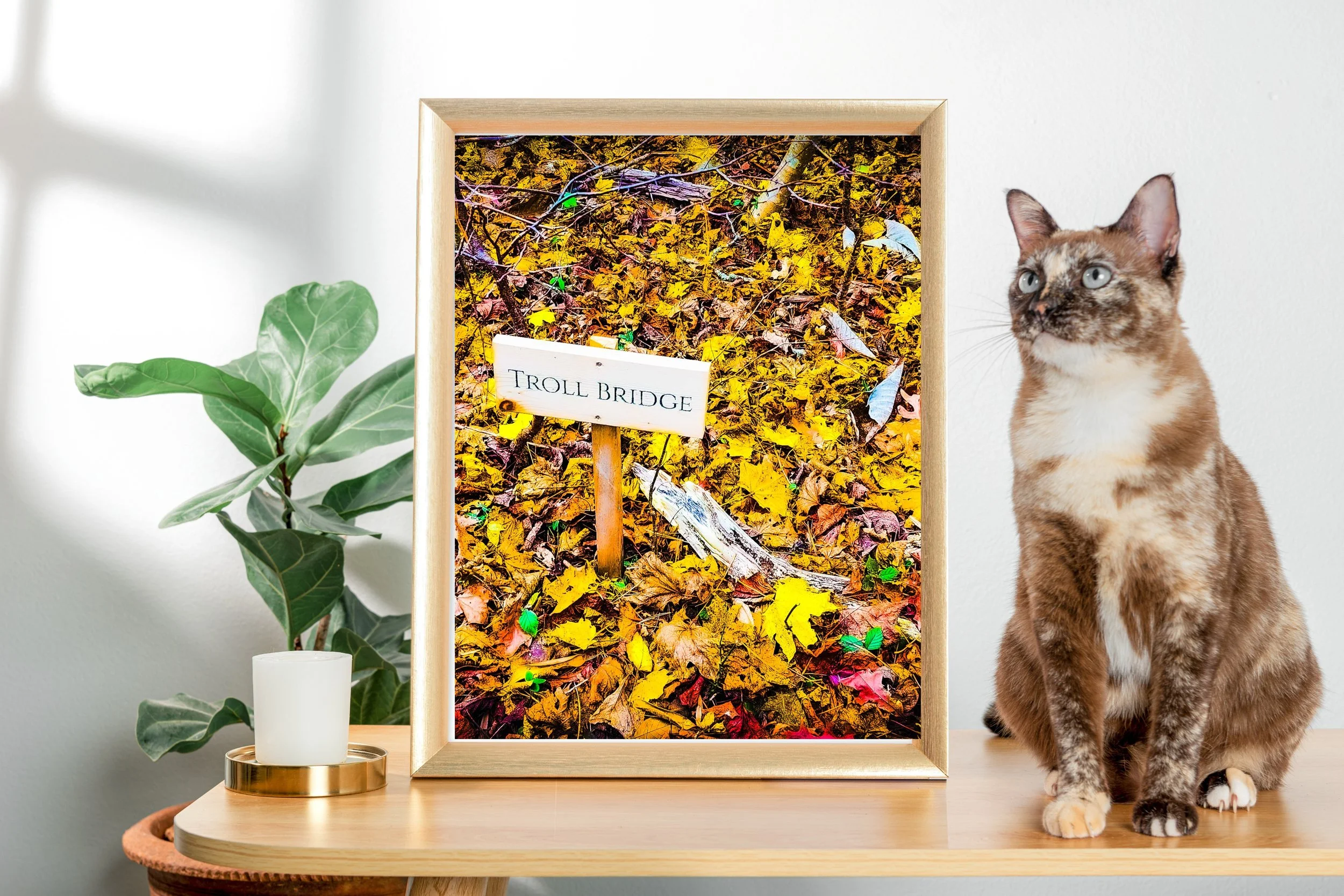 MSP Autumn Collection 2x3 Ratio Digital Prints-14.jpeg