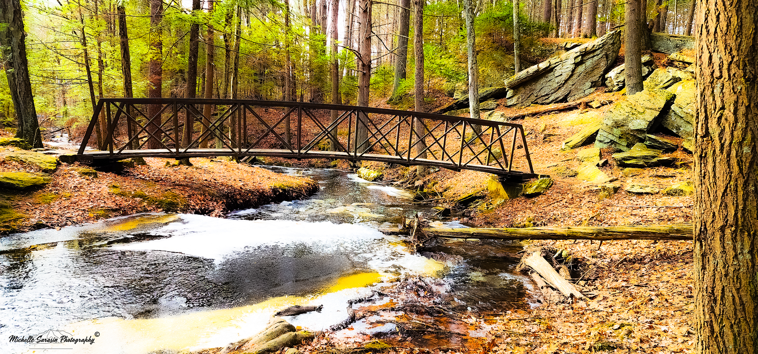 Bridge Through Autumn Wonders