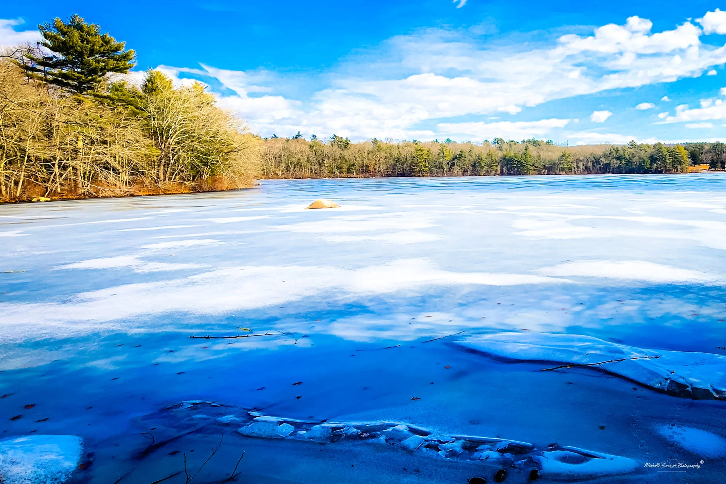 Frozen Wilderness | FA Digital Print
