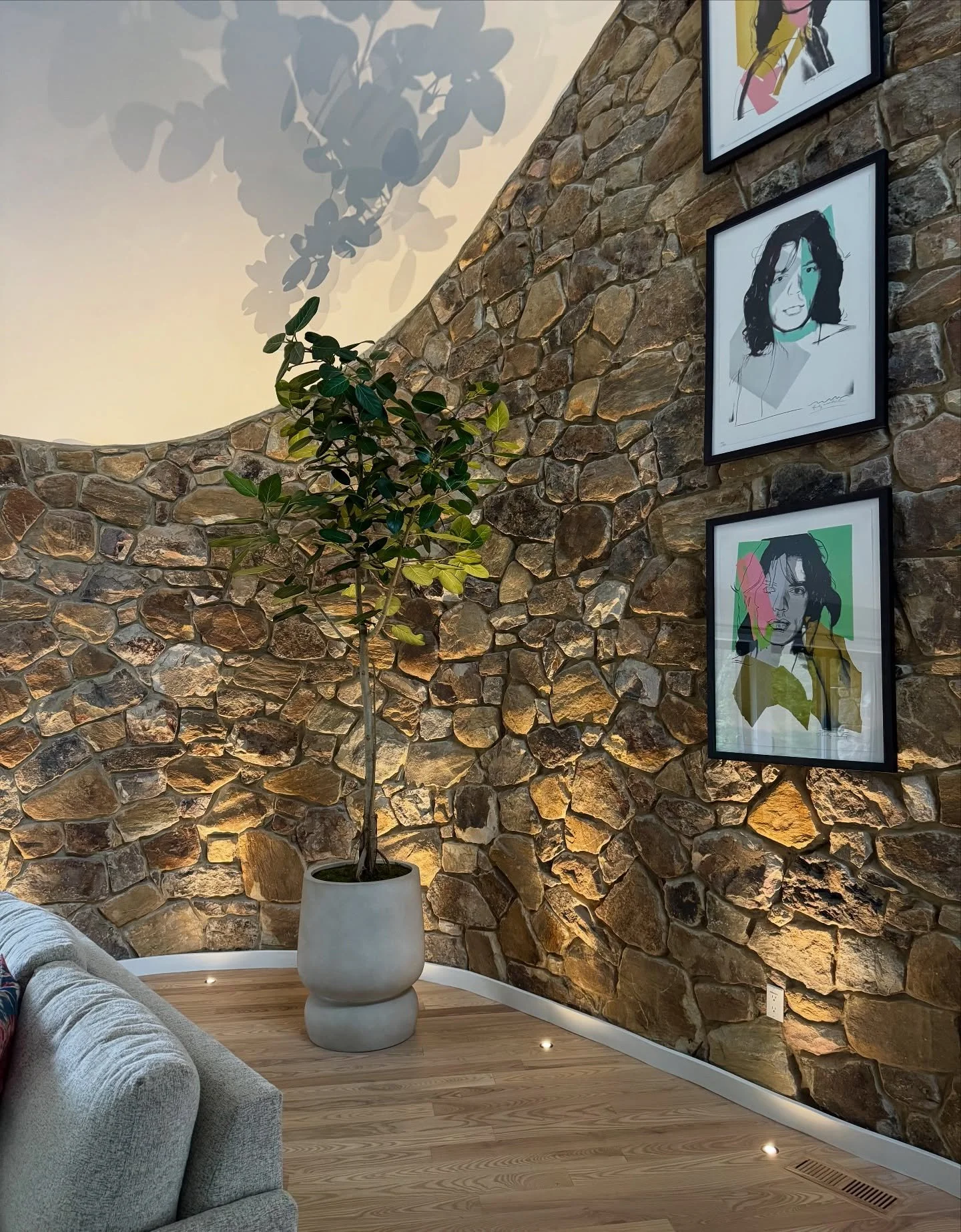 A cool house with cool plants 🌱 
Ficus Audrey edition