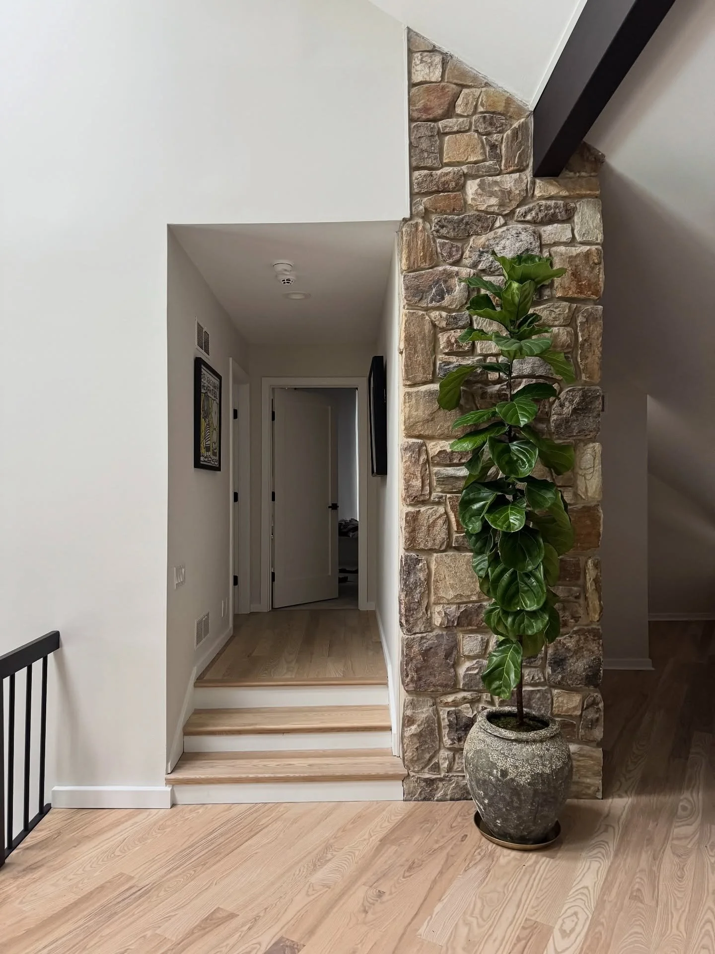 The difference a plant or four can make 🌱
We added a couple of different types of plants around our clients home that really compliment the beauty of the house itself. 
Our client was super trusting and happy with the results. We may be biased but