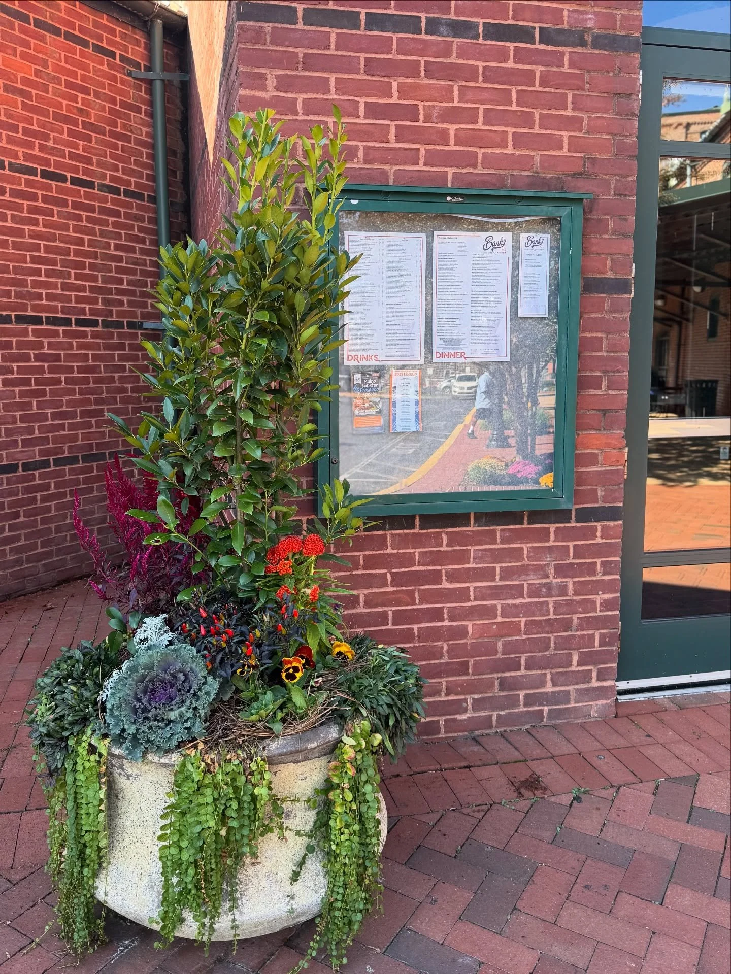 We love a big planter 🌱
next — pumpkins to complete the fall look 🎃 🍂