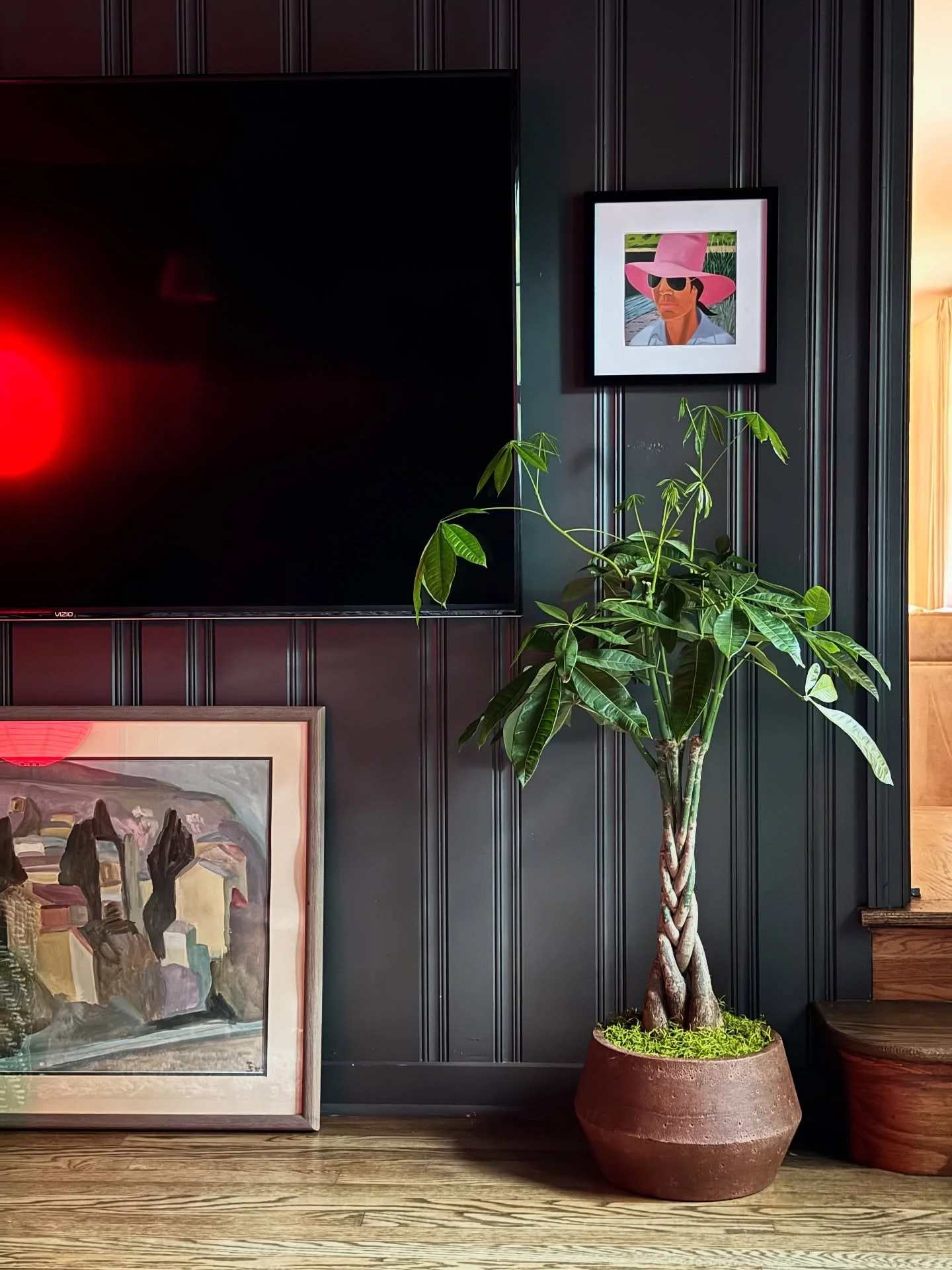 A Money Tree moment from home 🌱 
happy Monday!