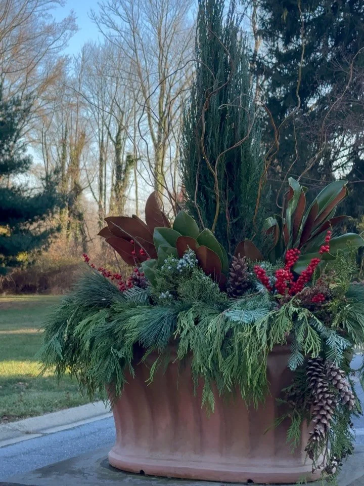 A classic look to greet you 🌲