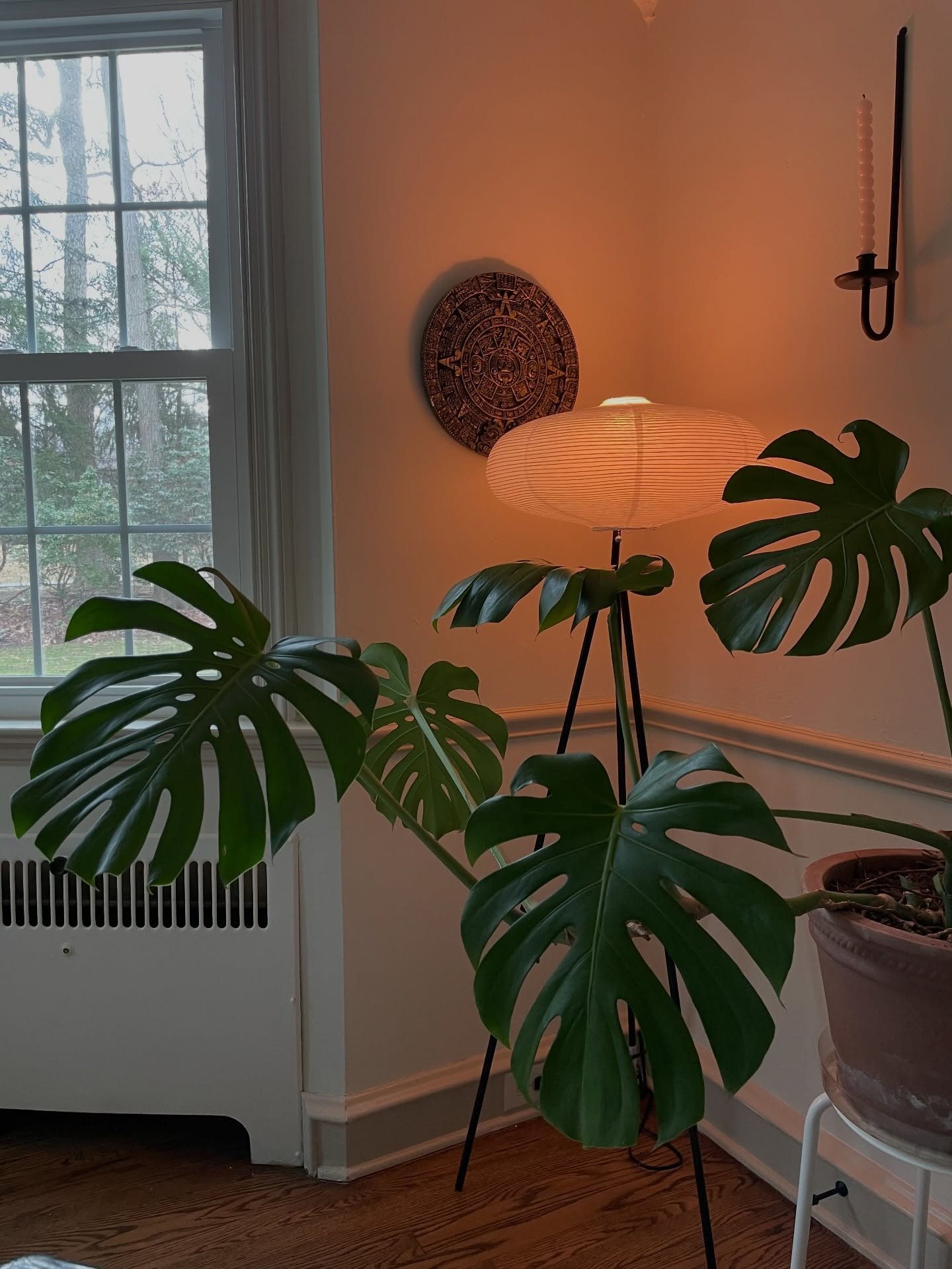 Some randoms from our favorites folder 📸 
We can&rsquo;t wait to get back into what we do best 🙂&zwj;&harr;️🌱