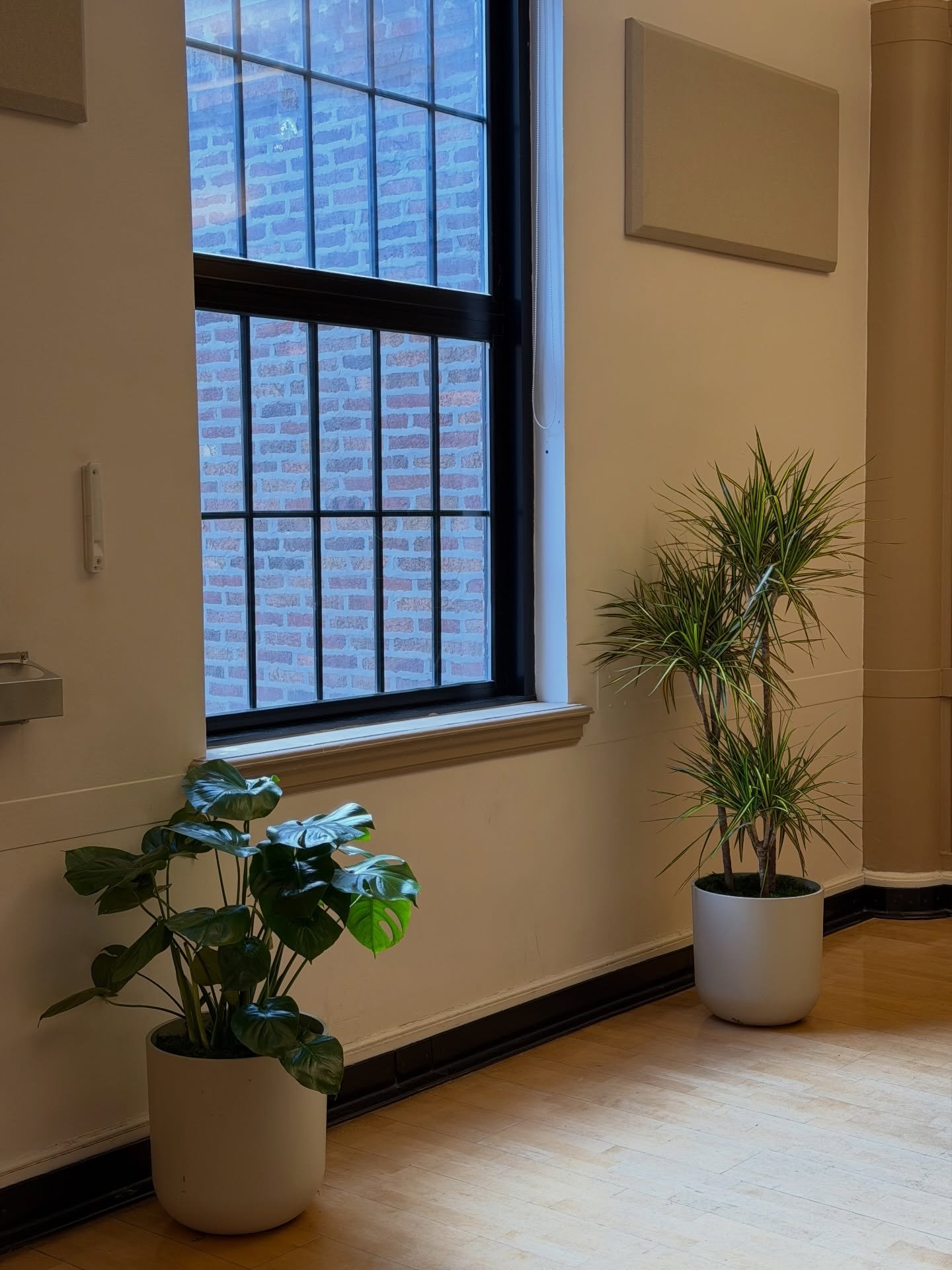 Happy Monday 🌱 

One week closer to spring 🥺

Ft. Easy plants to care for: 
Dracaena M 
Monstera Deliciosa 
Dracaena Reflexa