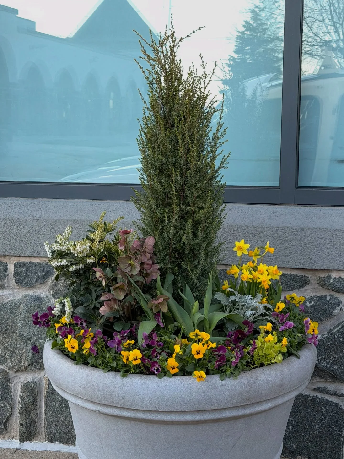 Spring  @ Maureen&rsquo;s hair salon 🌱🌷