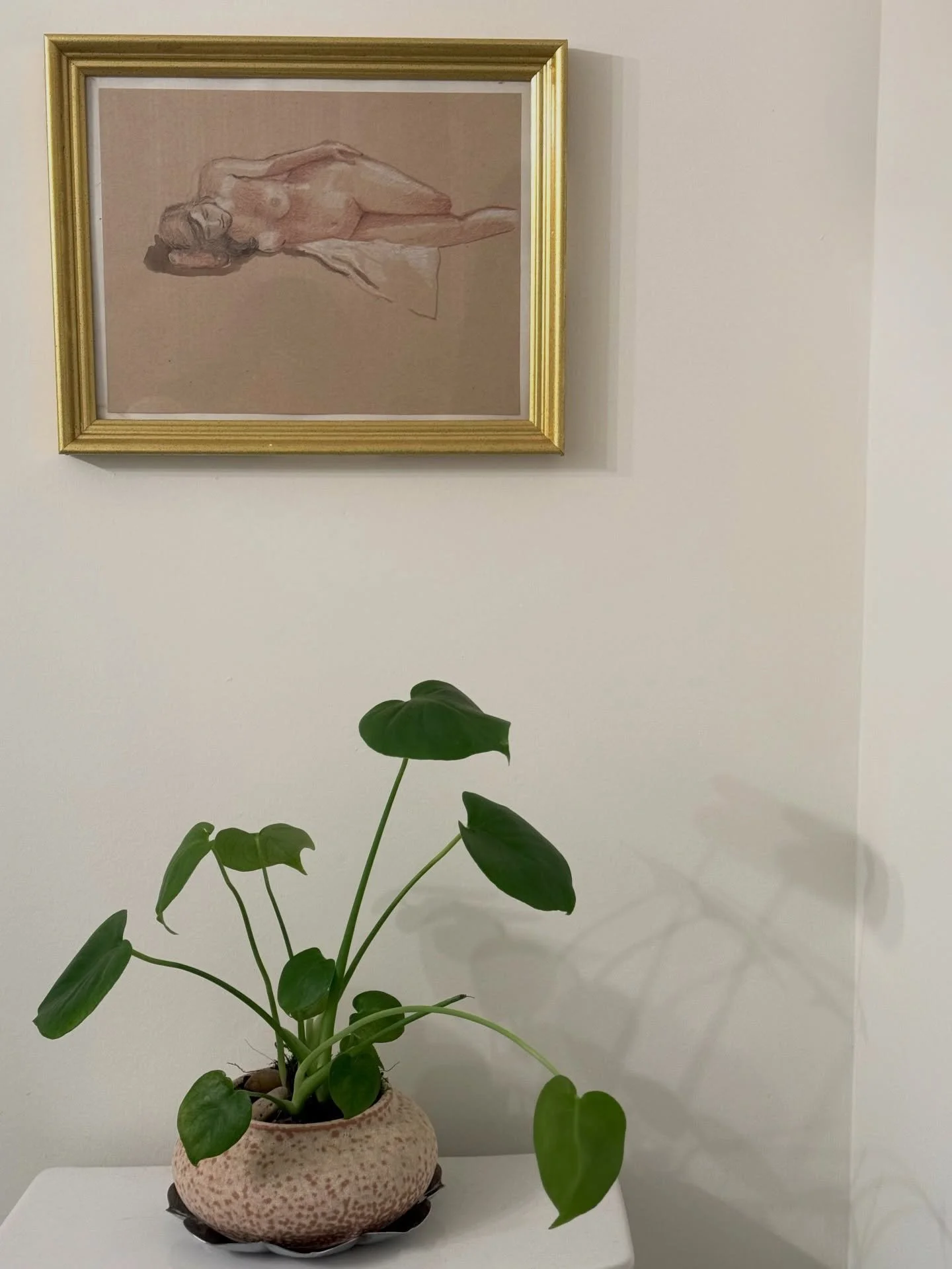 Small plants can be a moment too&mdash;
Mini monstera in a unique pot paired with a vintage saucer 🌀🌱