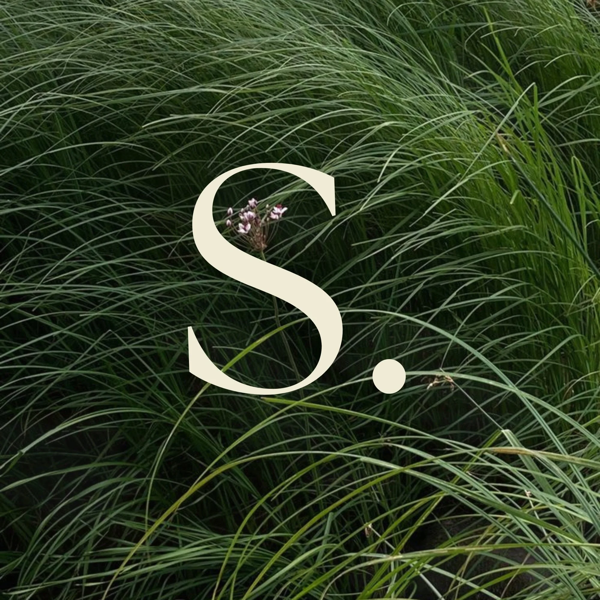 With growth comes change 🌱
And we are making changes around here, stay tuned for more updates. Same vibes but better 👀

xx,
Karla