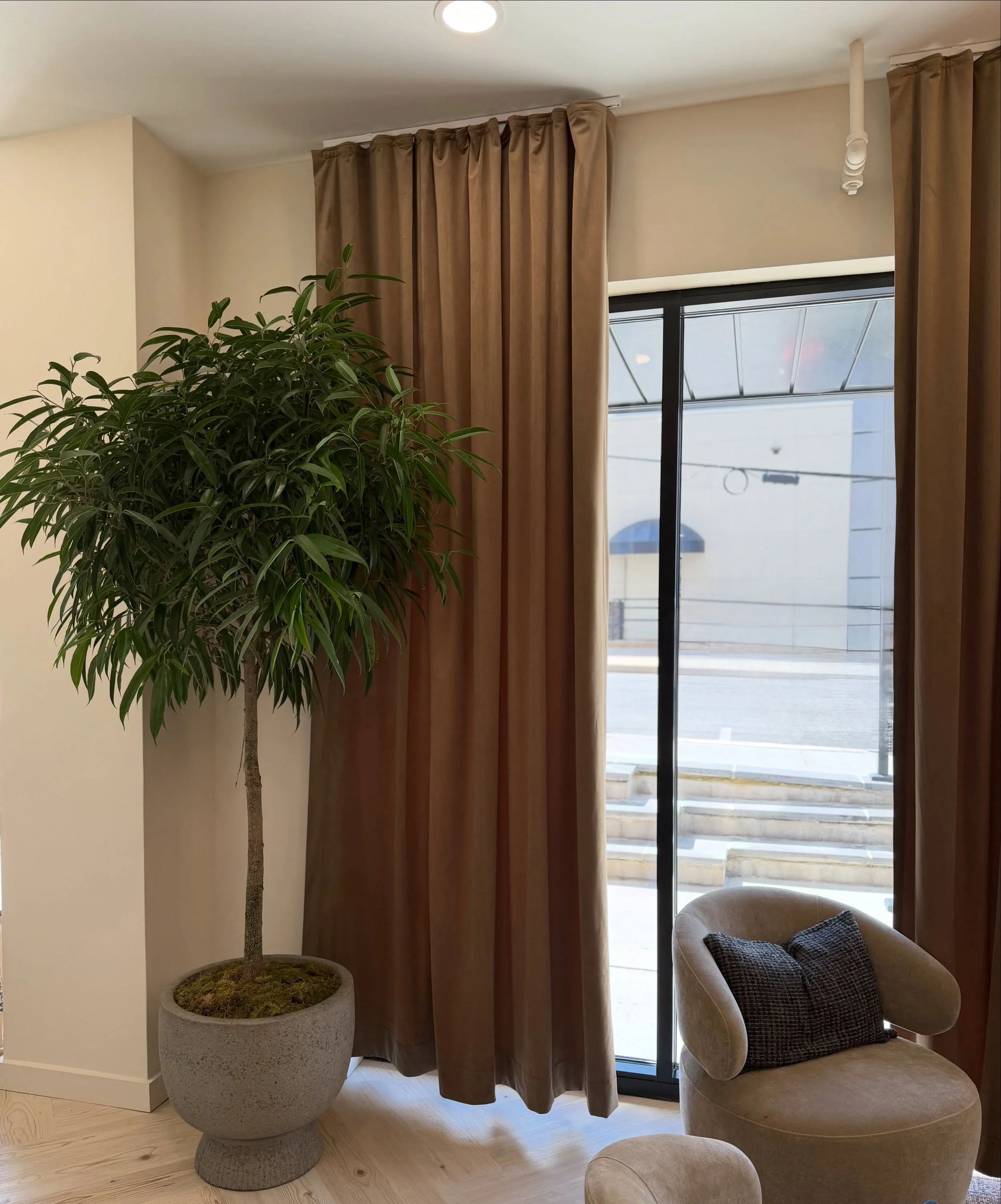 Ficus Alii + others 🌱 
@evriaesthetics 

Thank you for trusting us on some of the finishing touches to an already beautiful space.