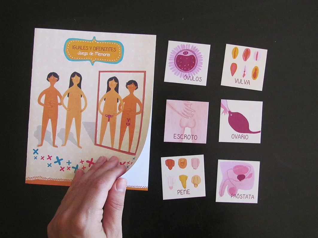 Various pieces from an educational board game about male and female reproductive organs with illustrated body figures and labels for reproductive parts, along with separate illustrated images of eggs, vulva, ovary, penis, and labia.
