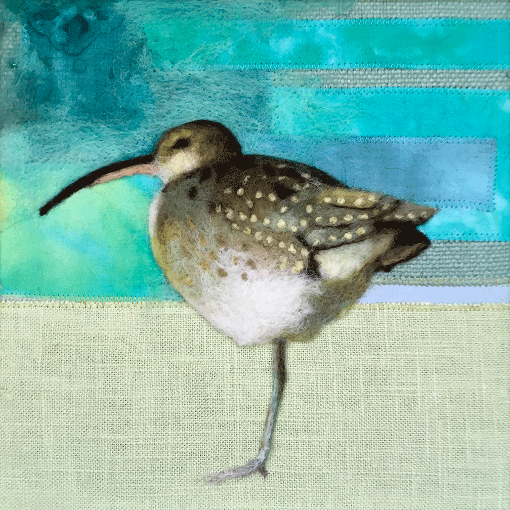 Whimbrel
8" x 8"