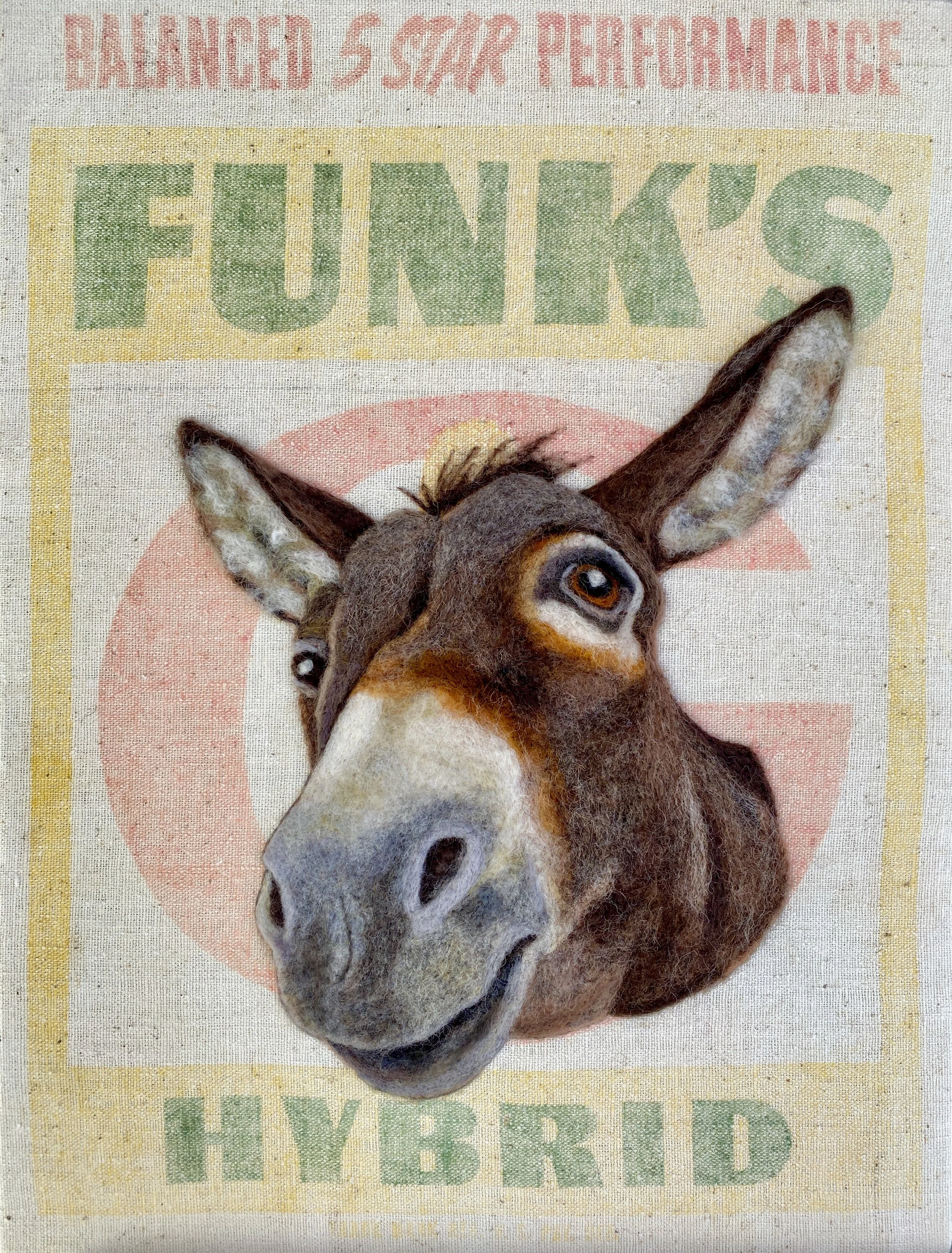 Donkey Funk
12" x 16"