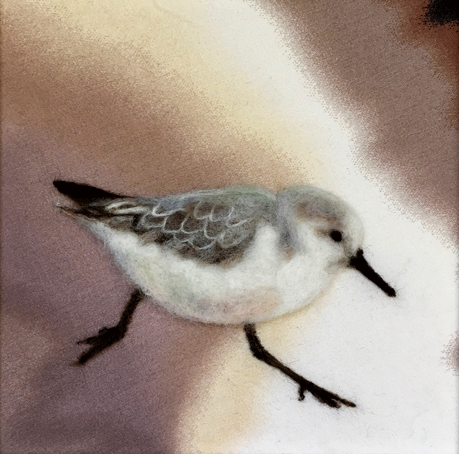 Sanderling
8" x 8"