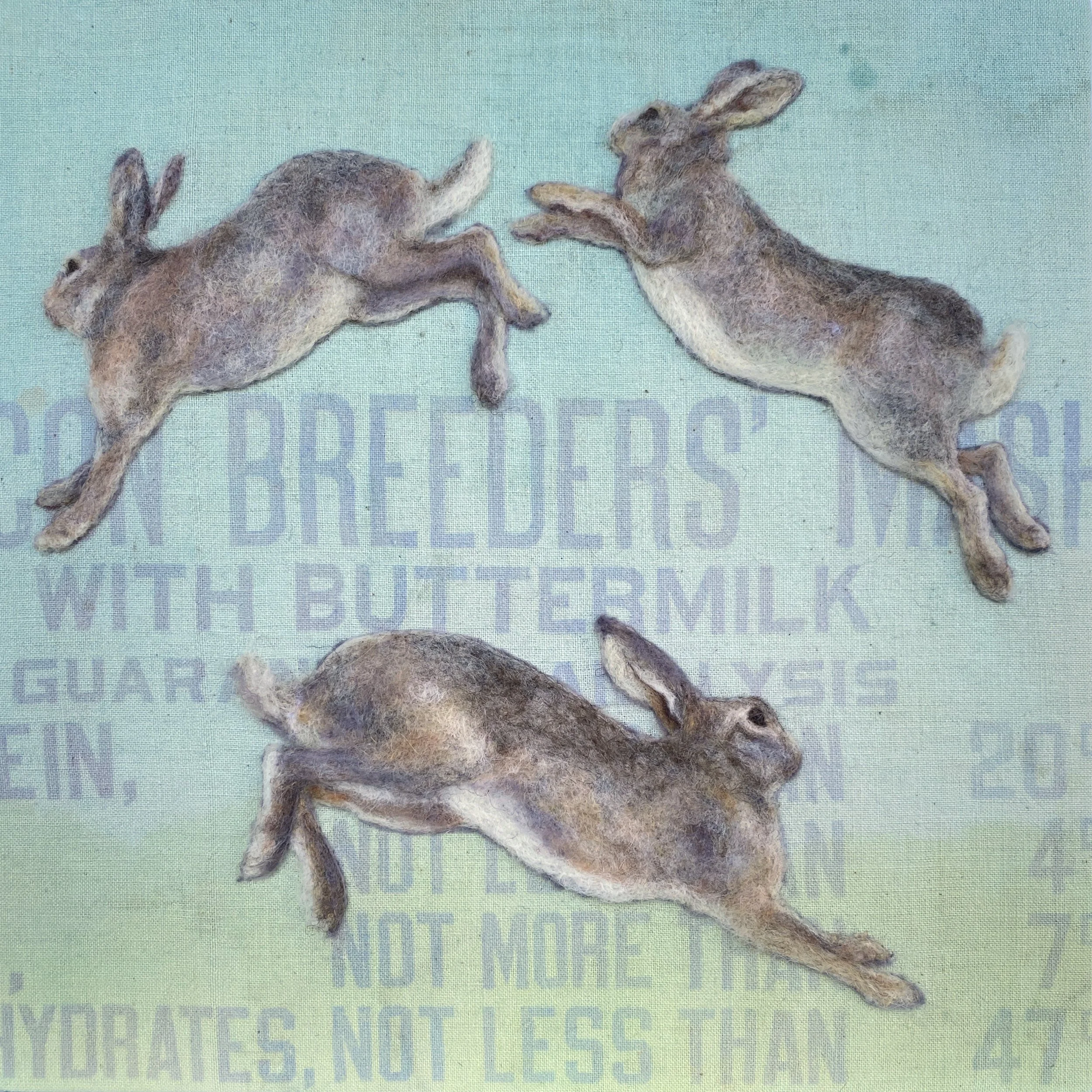 Counting Rabbits
12" x 12"