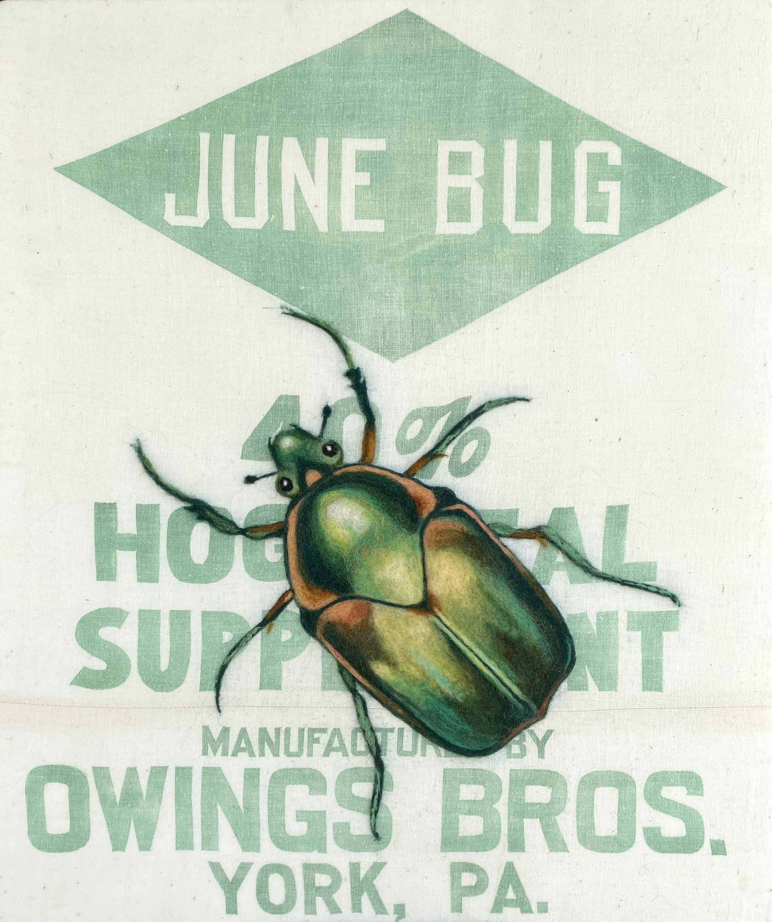 June Bug
20" x 28"