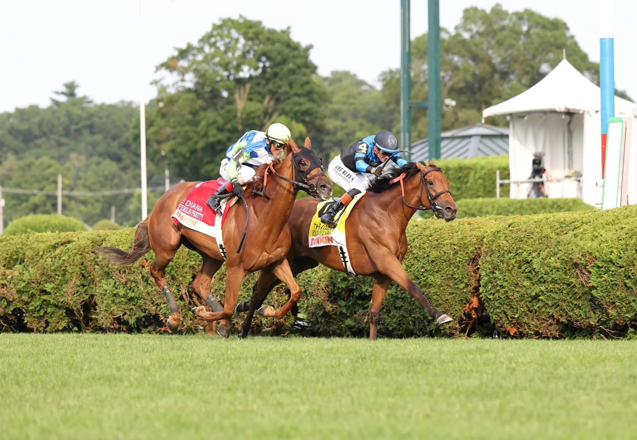 Excellent Truth (IRE) - G1 Dunkin Diana