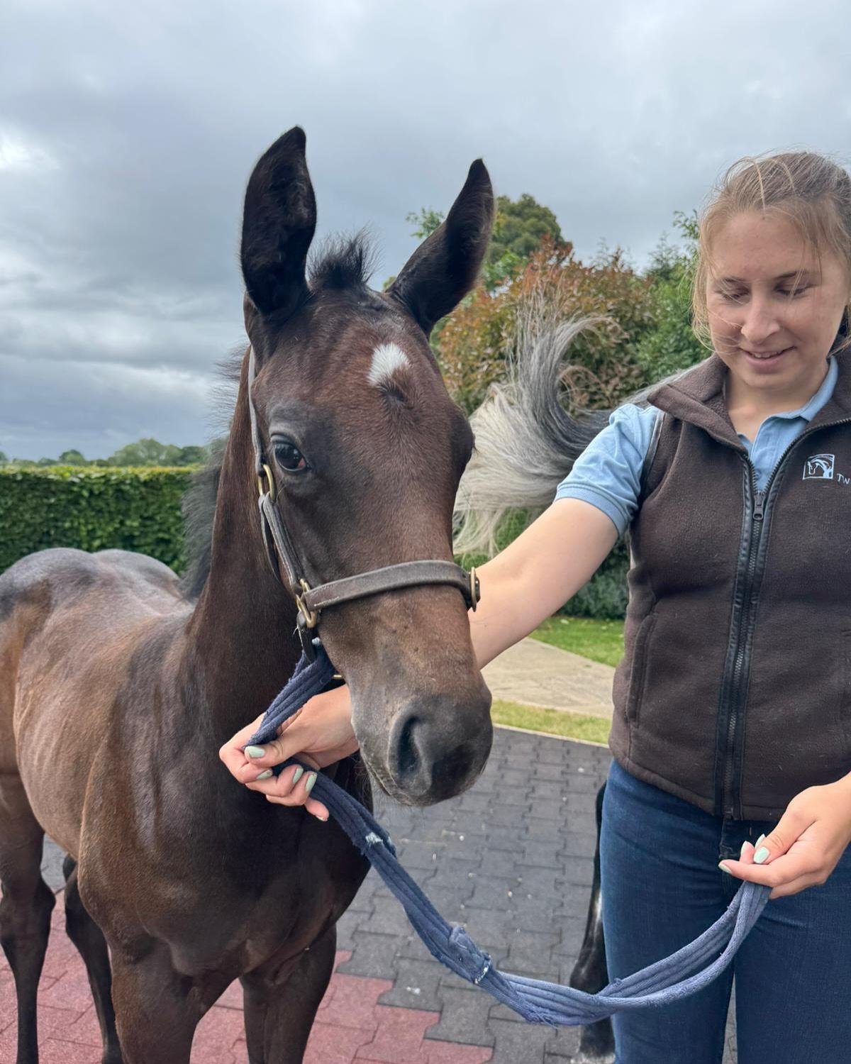 Guess Who? 👀
This week John and Chelsey paid a very special visit to multiple G1 winner including the 2022 Breeder&rsquo;s Cup Turf Sprint, CARAVEL 🎠 and her first foal, a colt by FRANKEL (GB) 🏇

Caravel currently resides in Europe with her foal a