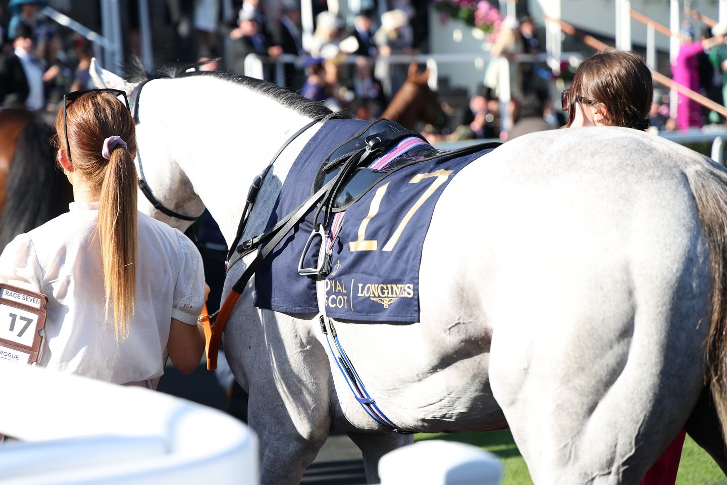 What a week to remember at Royal Ascot❗️Our new acquisition, ROGUE LEGEND🏇, ran a strong 3rd in a dead heat in the Windsor Castle Stakes, and the hospitality of @ascotracecourse was exceptional!