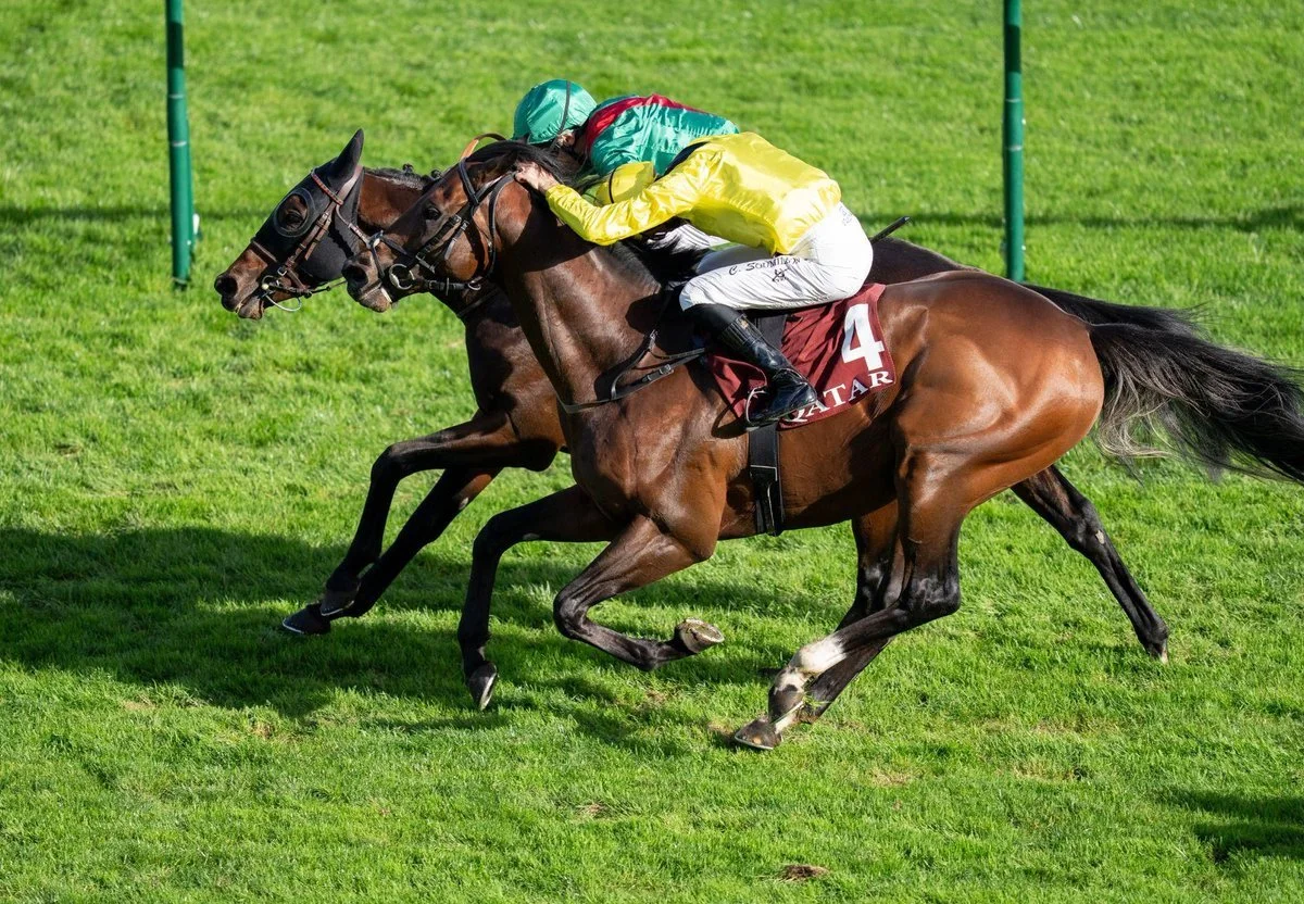 Group 2 Winner Ridari to Resolute Racing, Clement