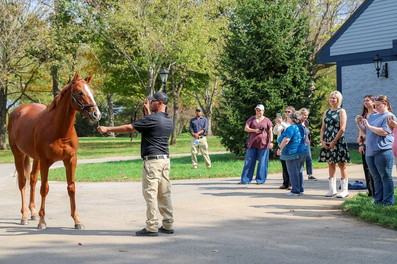 Family Day with PUCA was a huge success! 💖 Thank you to everyone who came out to meet Puca, her 2025 filly, and her 2024 colt. We loved sharing this special family with all of you.
📸 If you attended, we invite you to post your favorite photos from