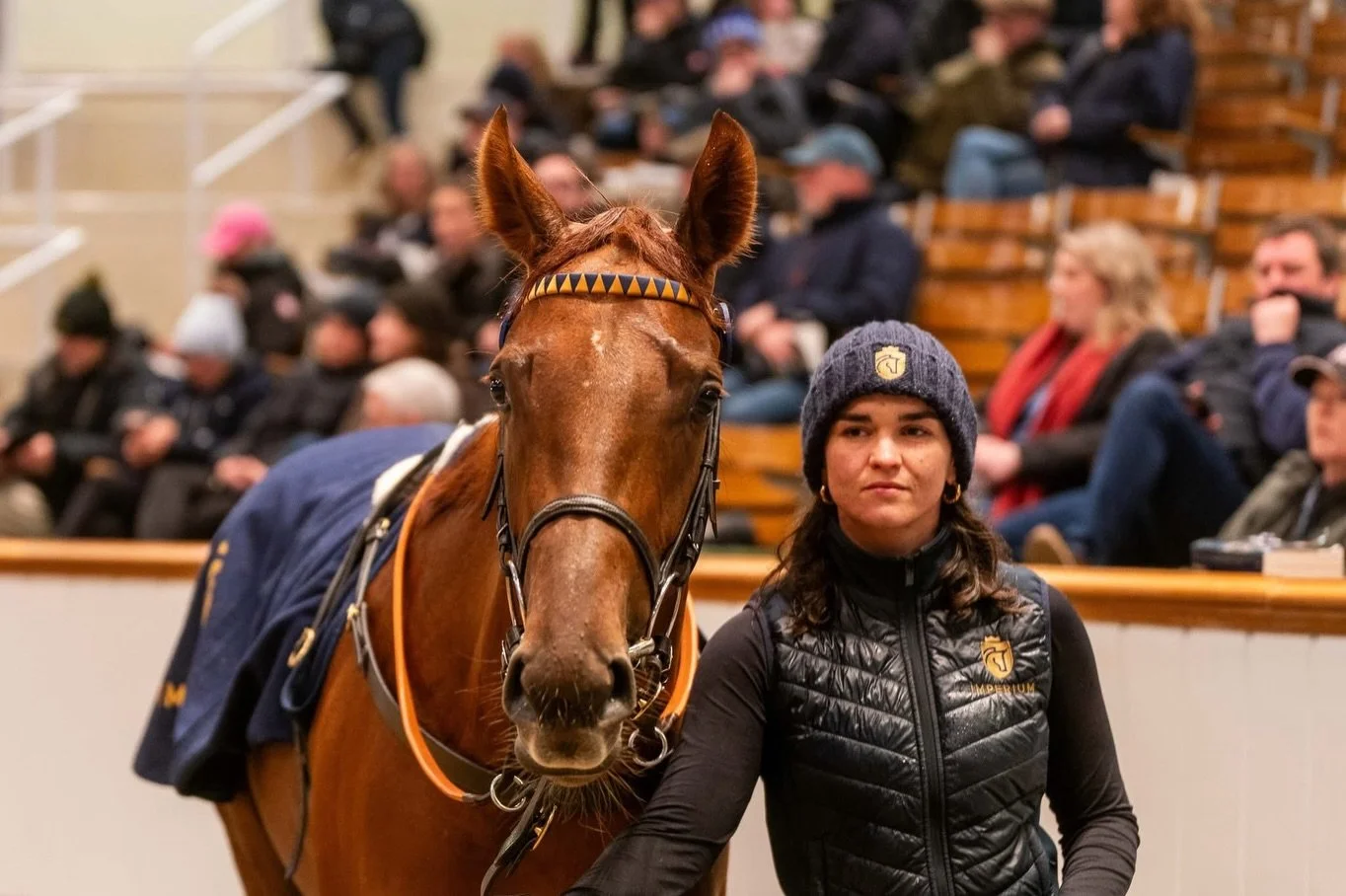 Resolute is proud to add two outstanding fillies from the 2025 Tattersalls December Mare Sale:
&bull; Pintara (IRE) &mdash; undefeated in both starts at two, including the Montrose Stakes purchased for 1.8 guineas
&bull; Understudy (GB) &mdash; a pro