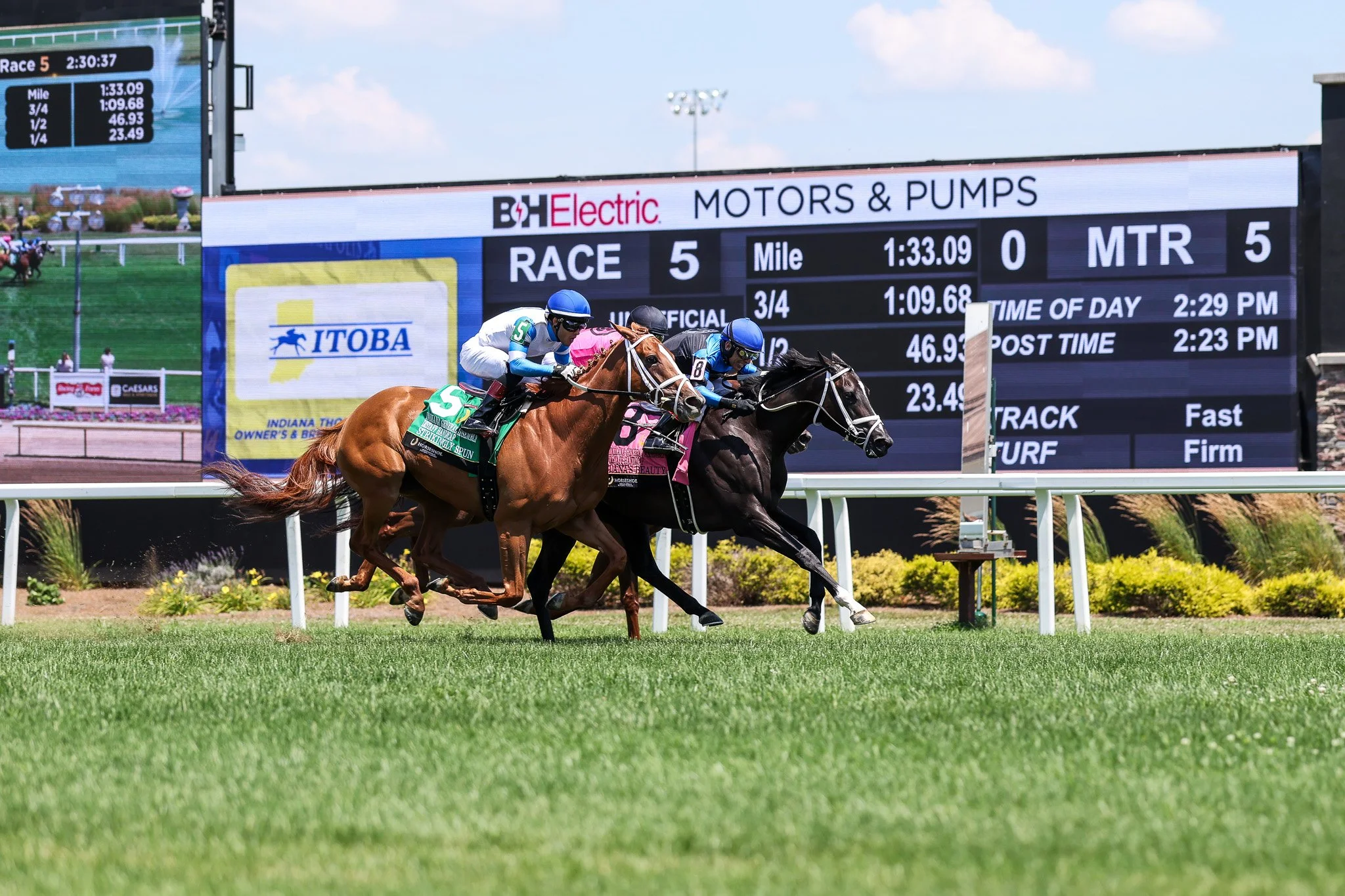  Dana’s Beauty winning the Indiana General Assembly Distaff Handicap in 2025 