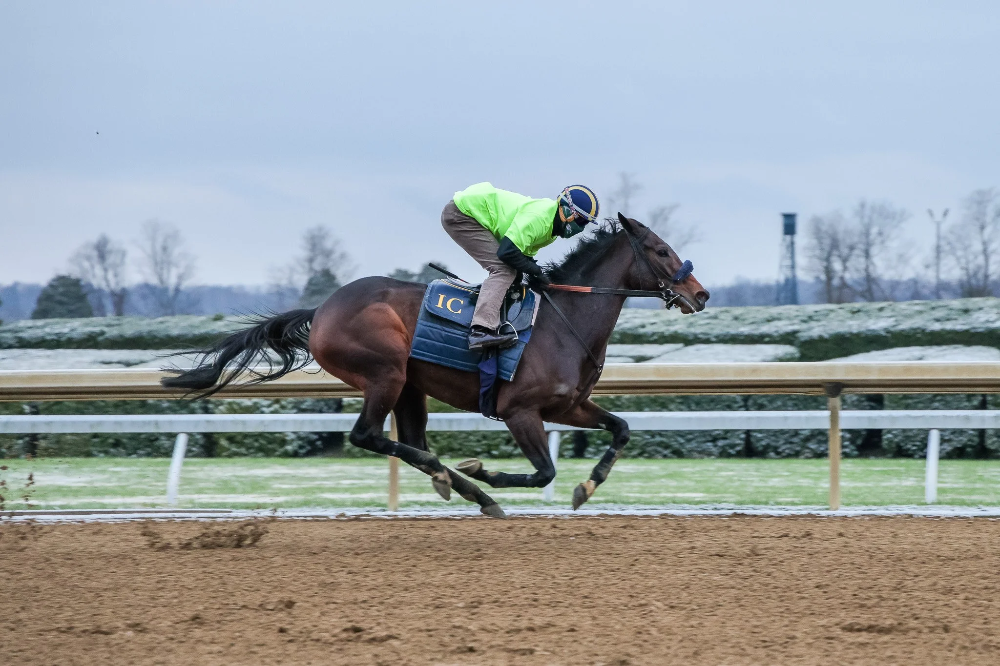  Didia training at Keeneland 
