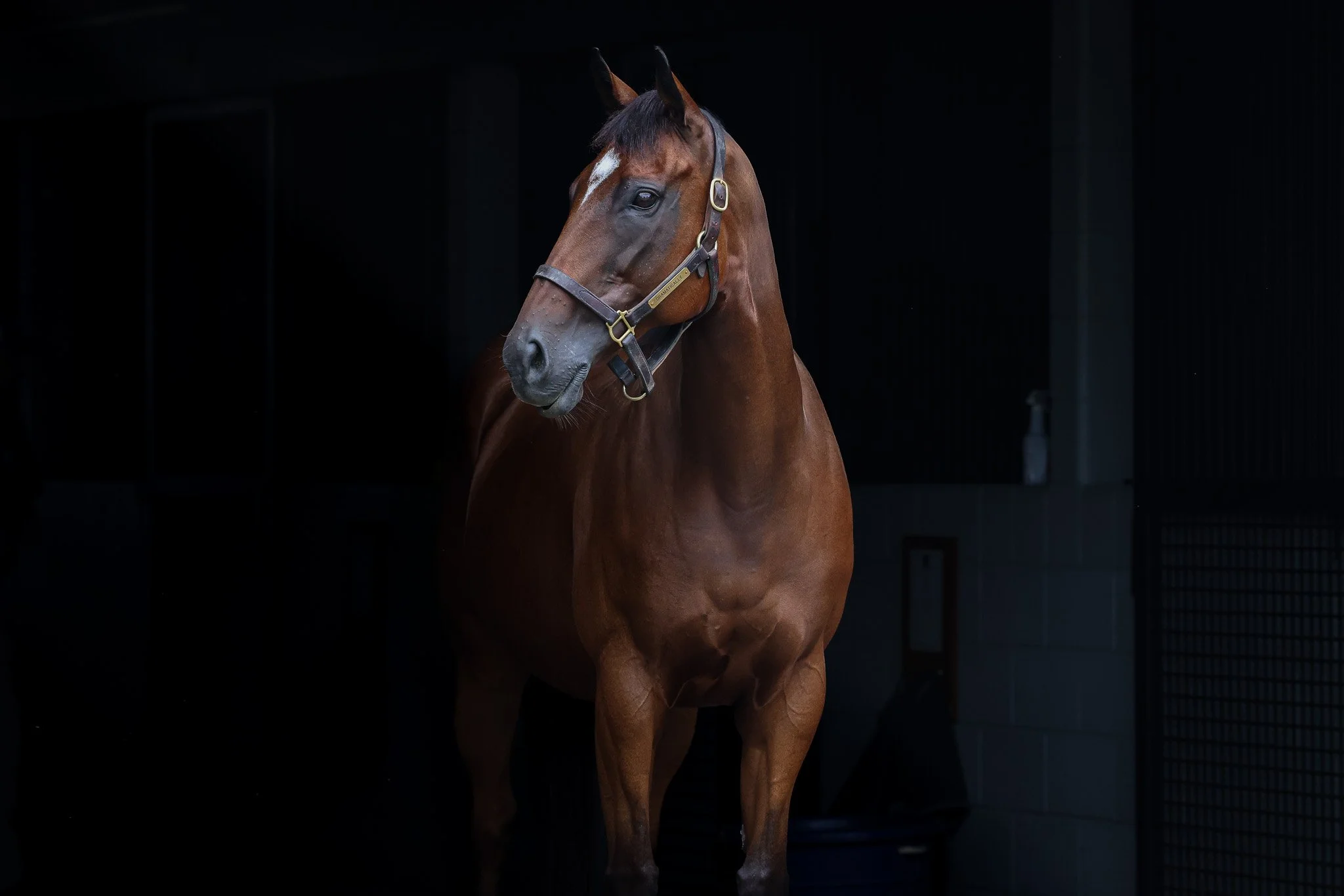Dramatically HS 8.22.25.jpg