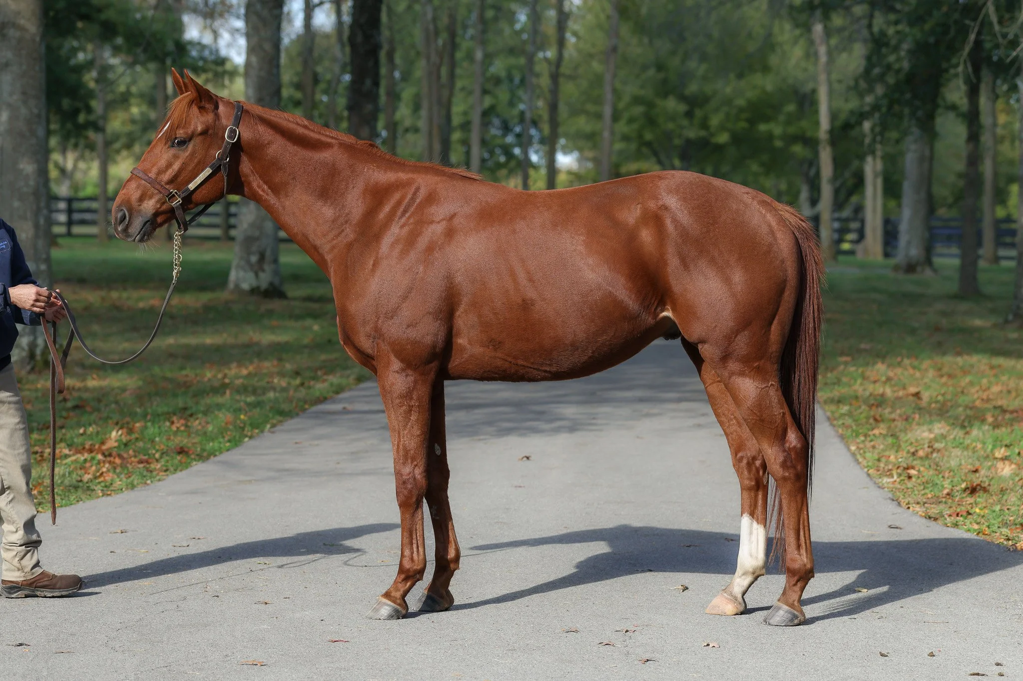 Oh Monaco 10.21.25..jpg