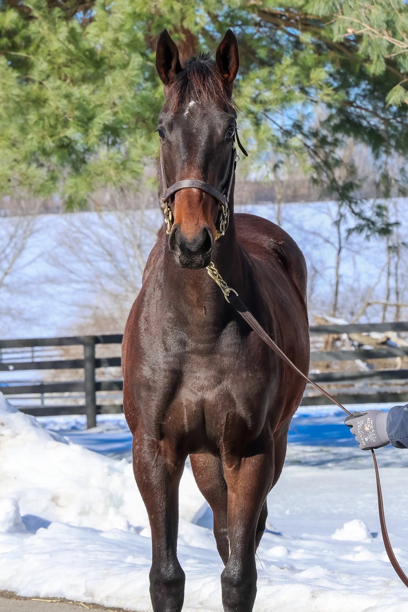  Eddy on arrival in Nov. 2024 