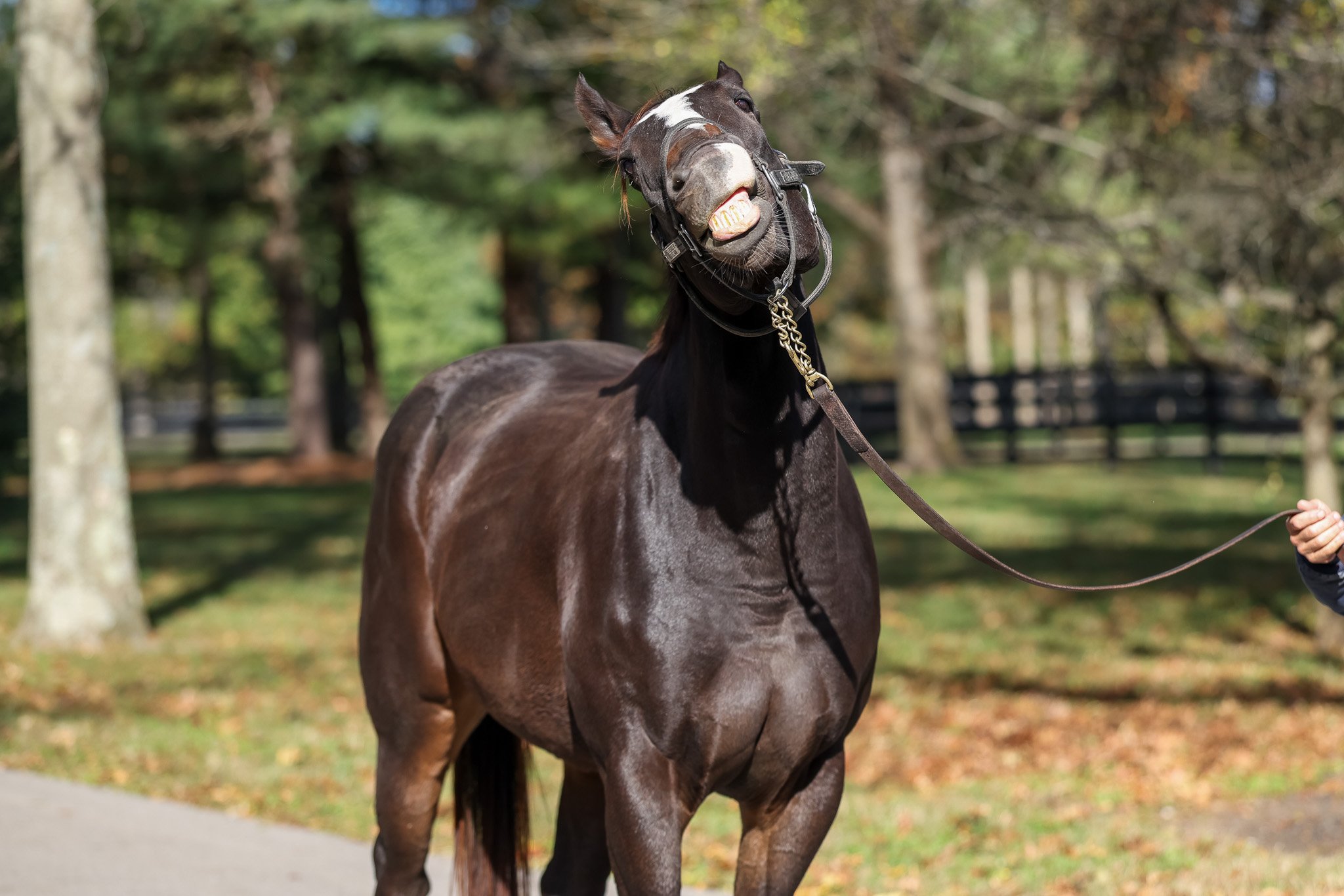 Winner, cheesin on the farm in Oct. 2025 
