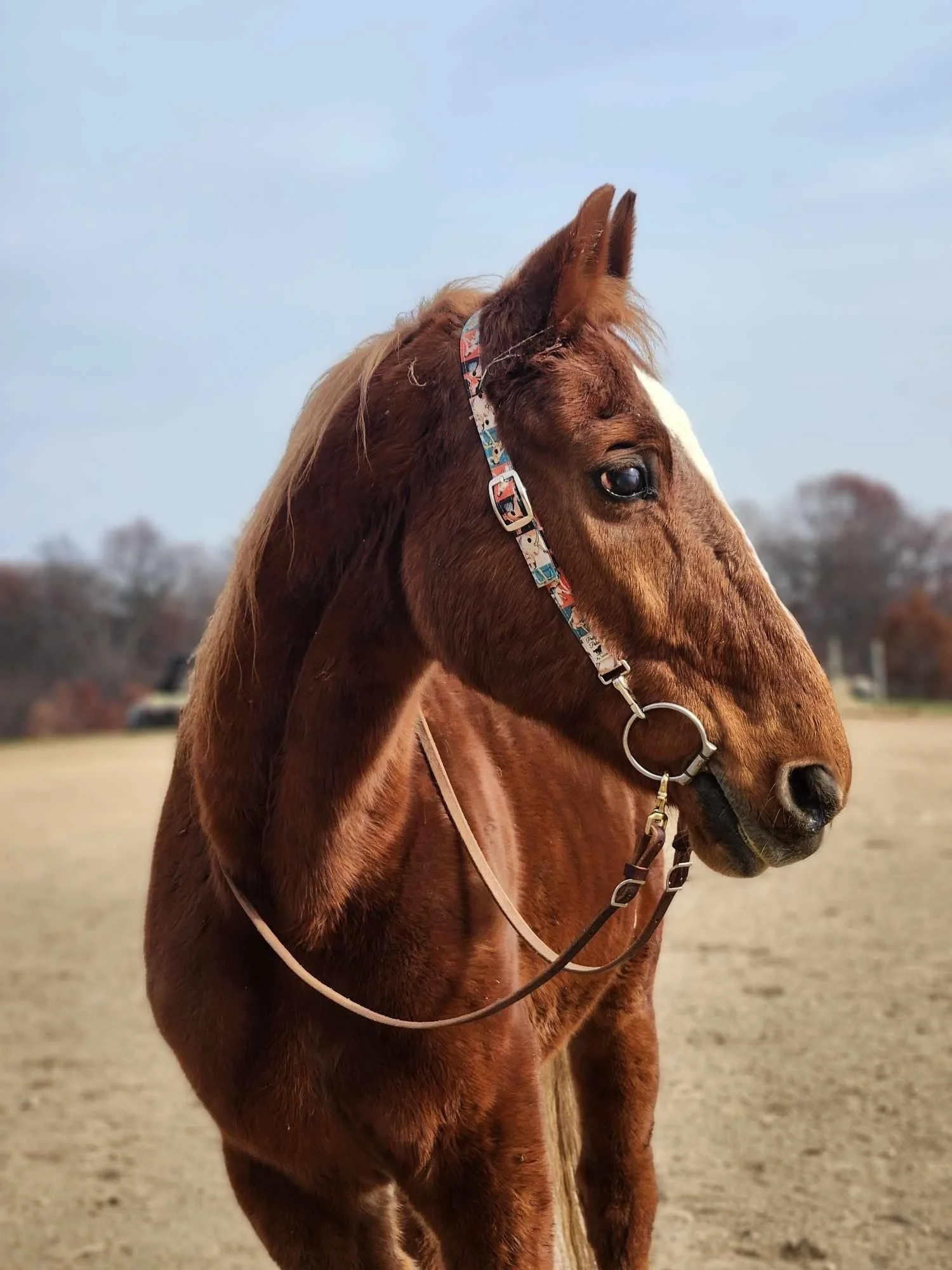  Tom’s intake photo 