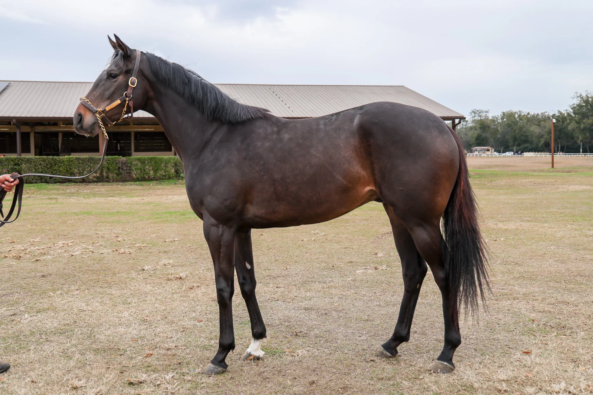  Alvear in training in Florida  
