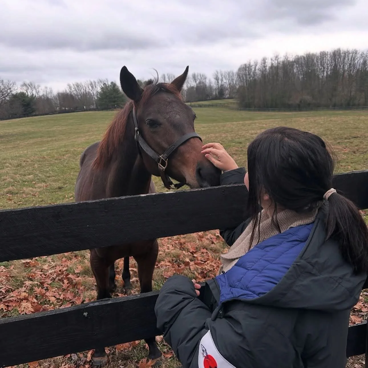  Sarah and Awesome Hawaiian on the farm 