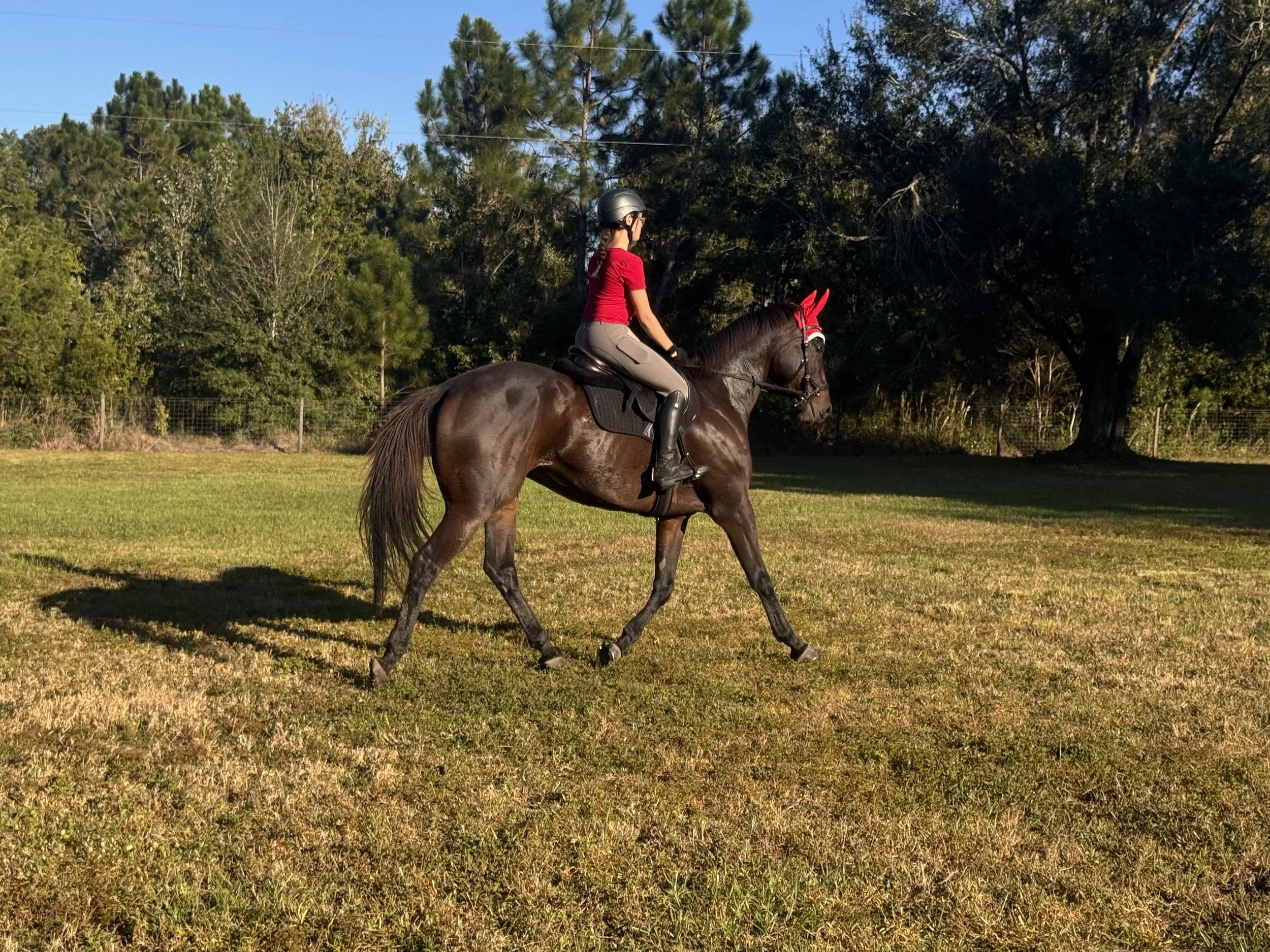 Guitarzan 2[91].jpeg