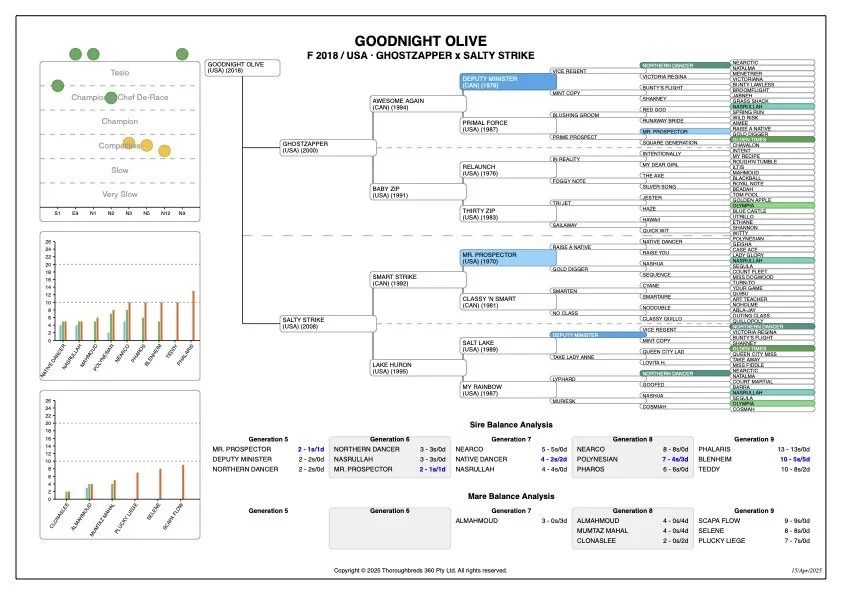  P360 Profile 