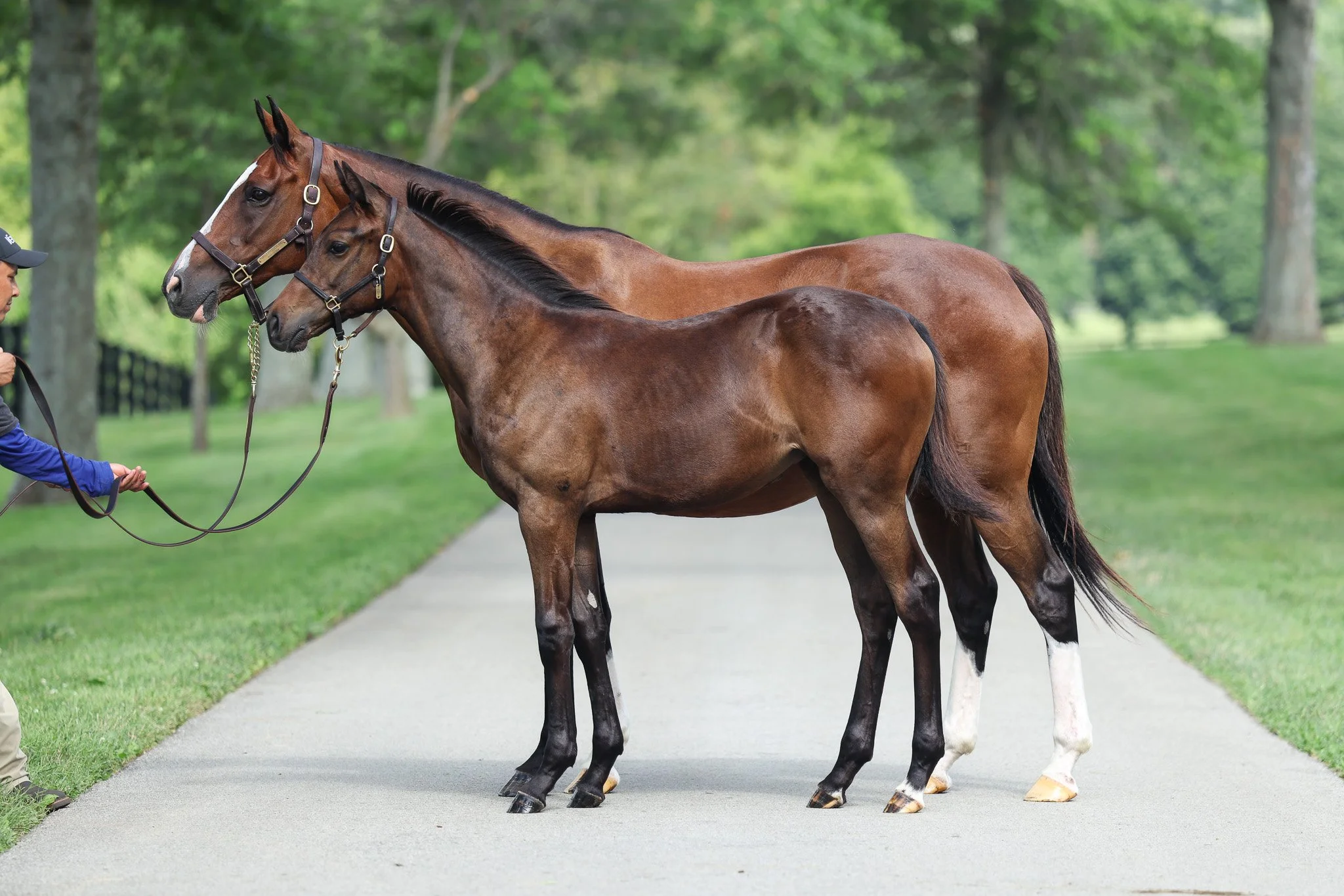  With her 2025 filly 