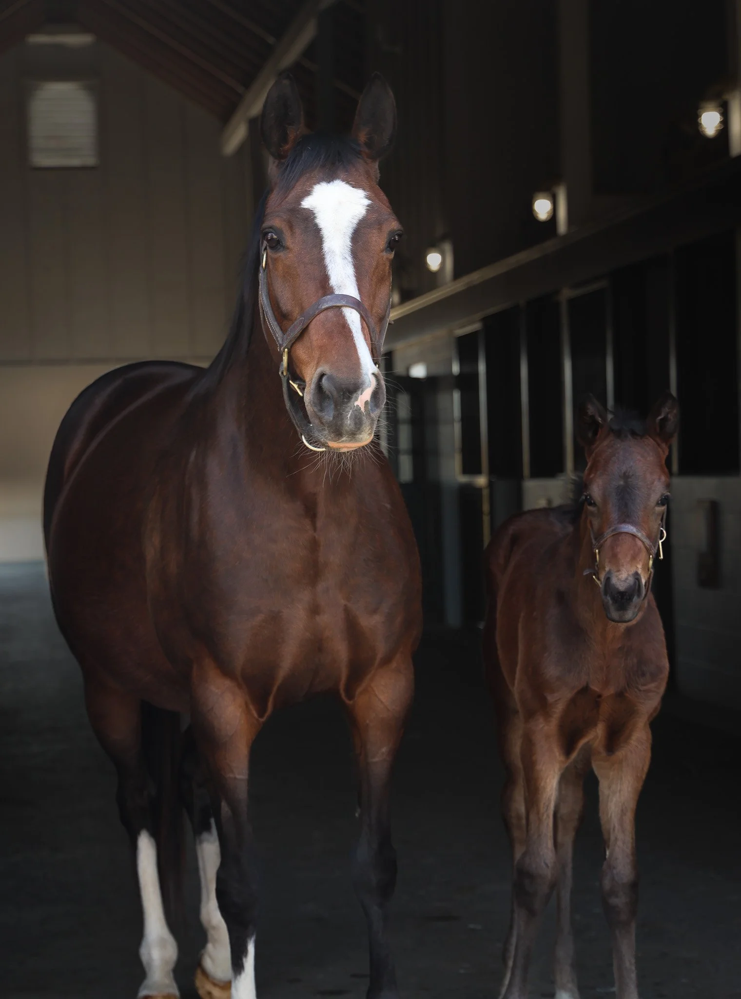  With her 2025 filly 