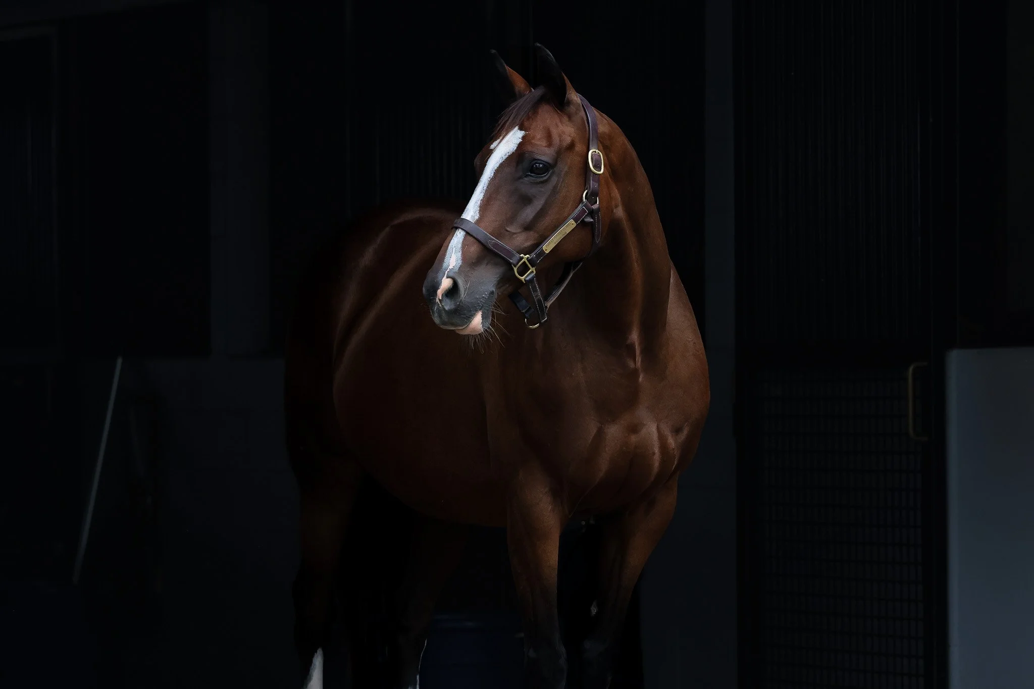 Purely Priceless (IRE)