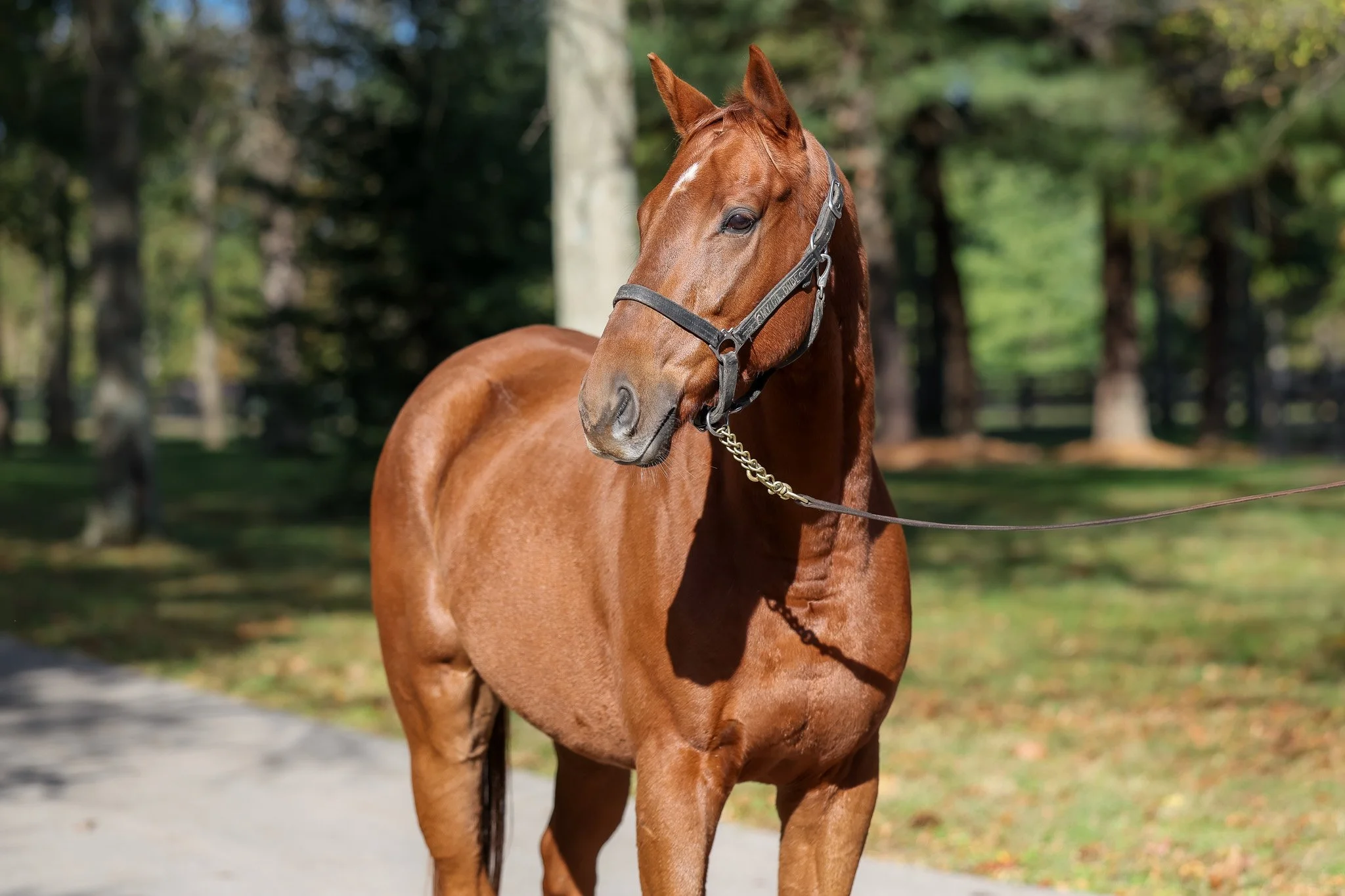 Dude HS 10.21.25.jpg